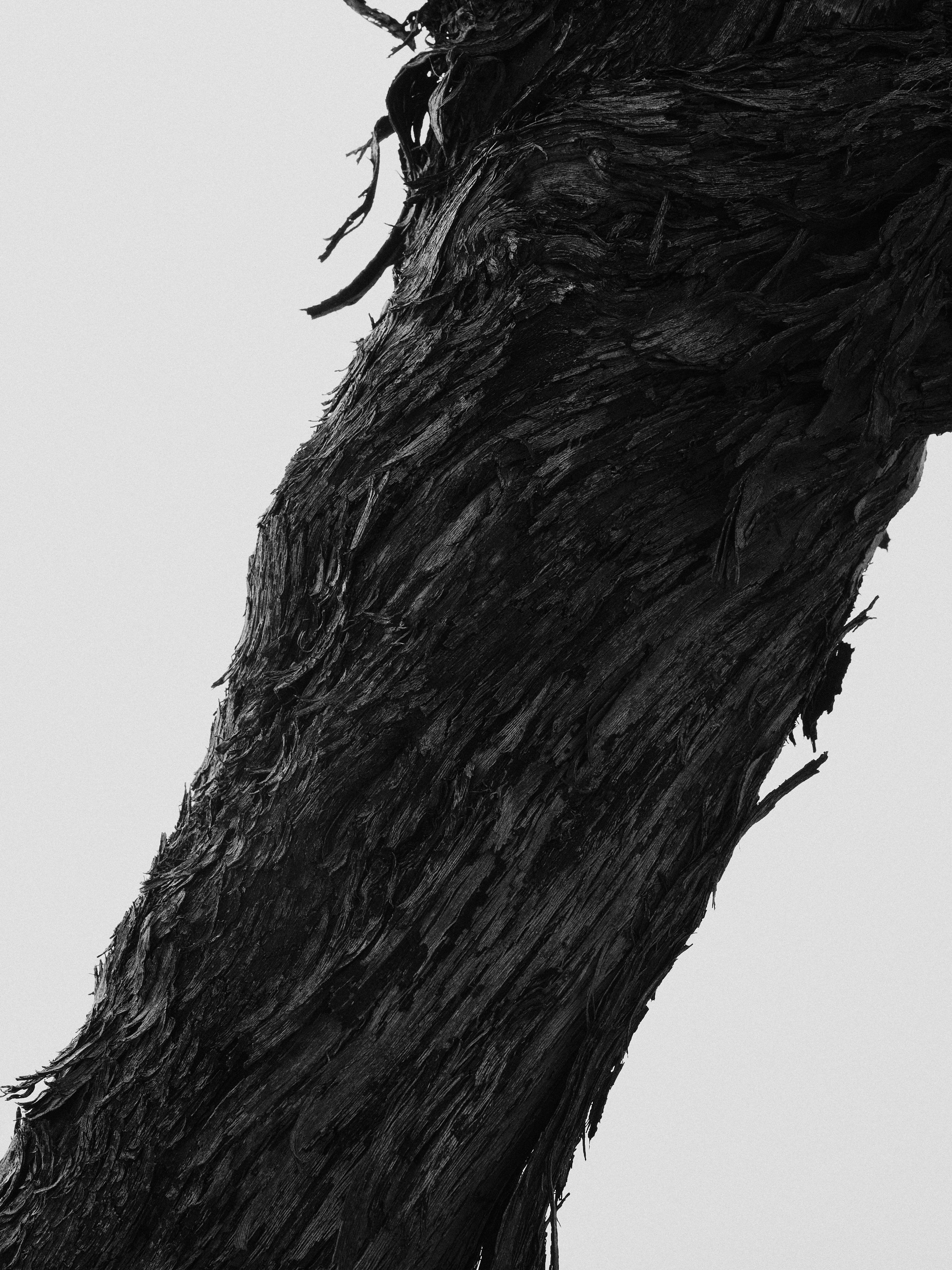 The Collective Force - Drylands Winery