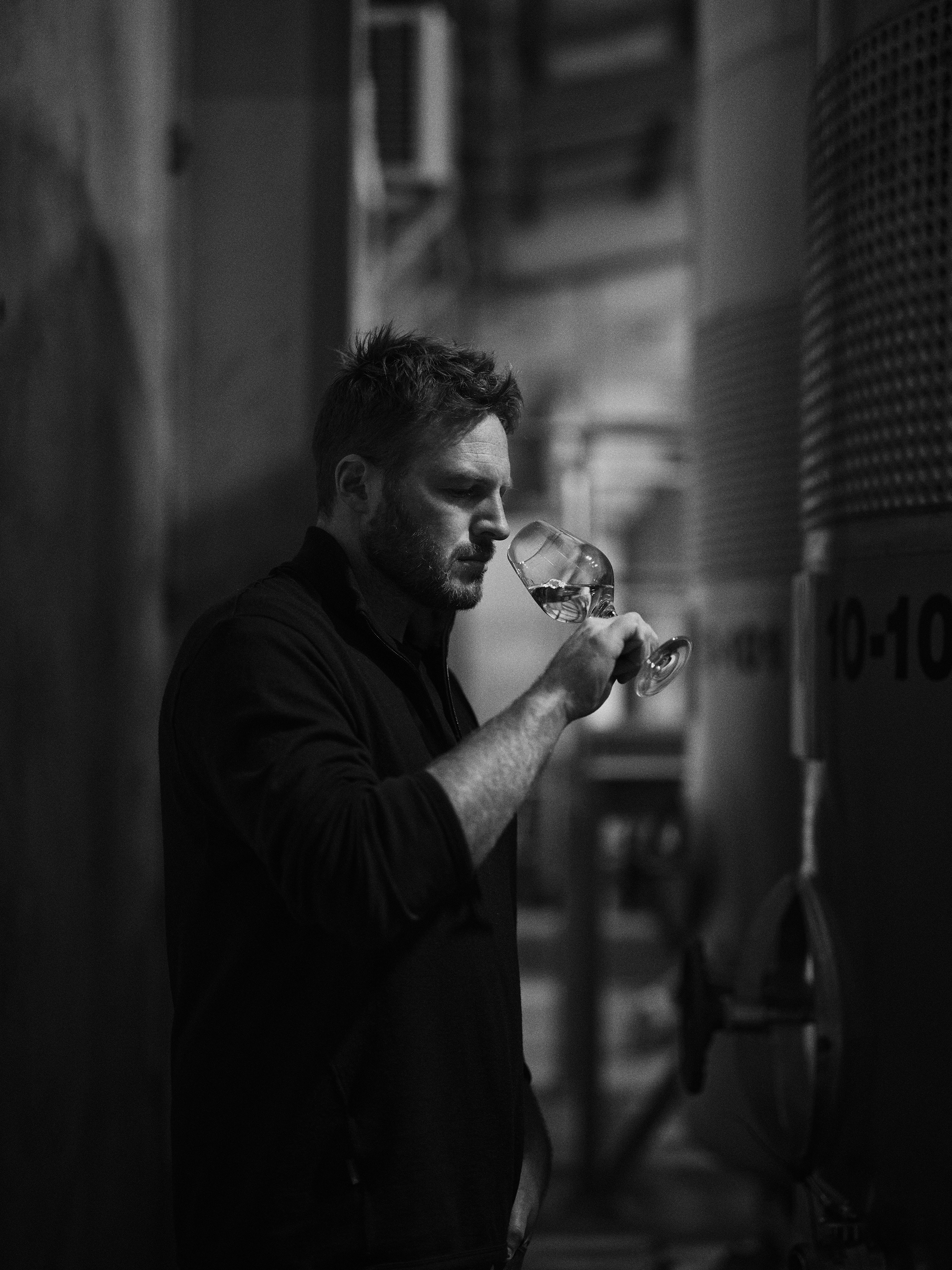 The Collective Force - Drylands Winery