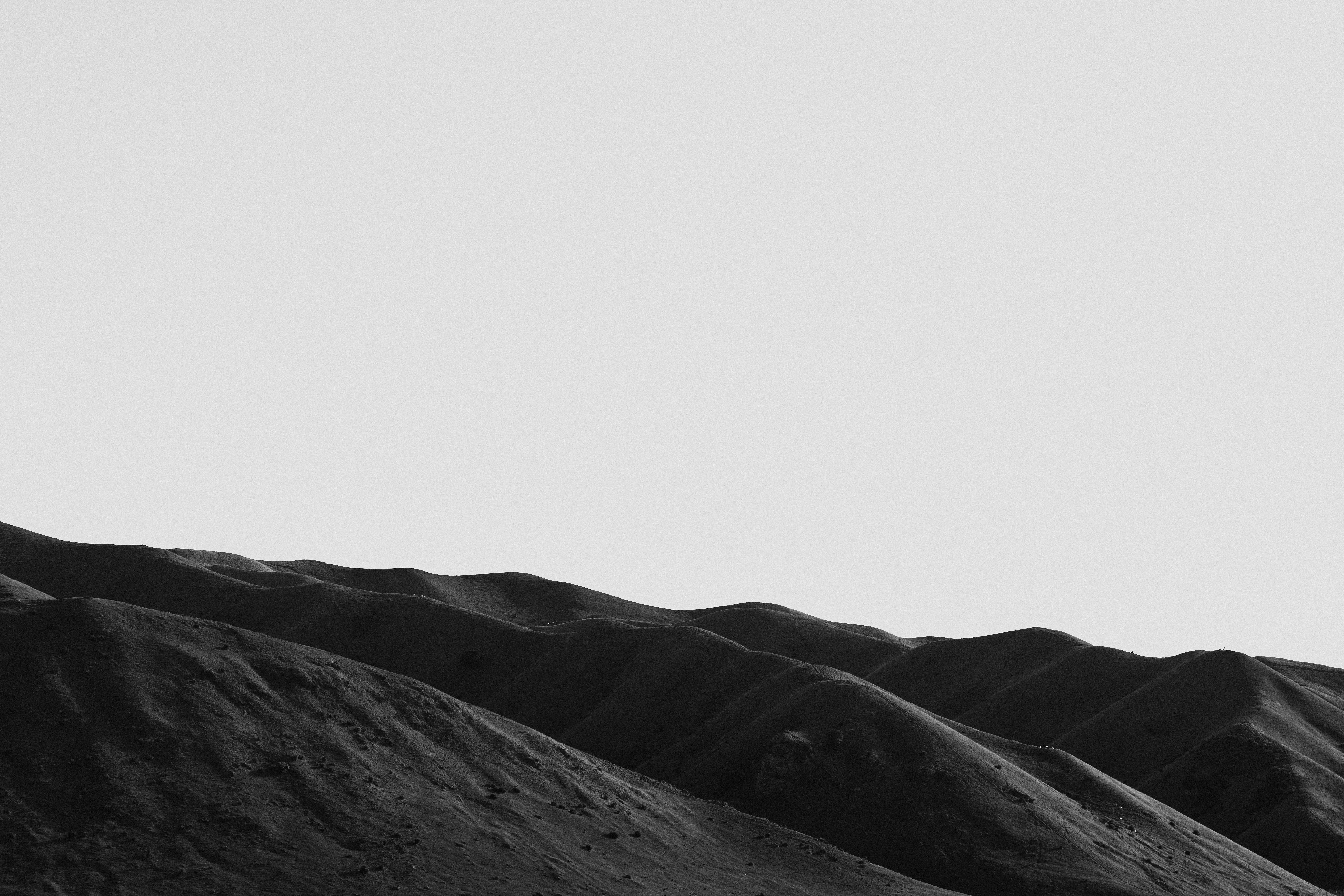 The Collective Force - Drylands Winery