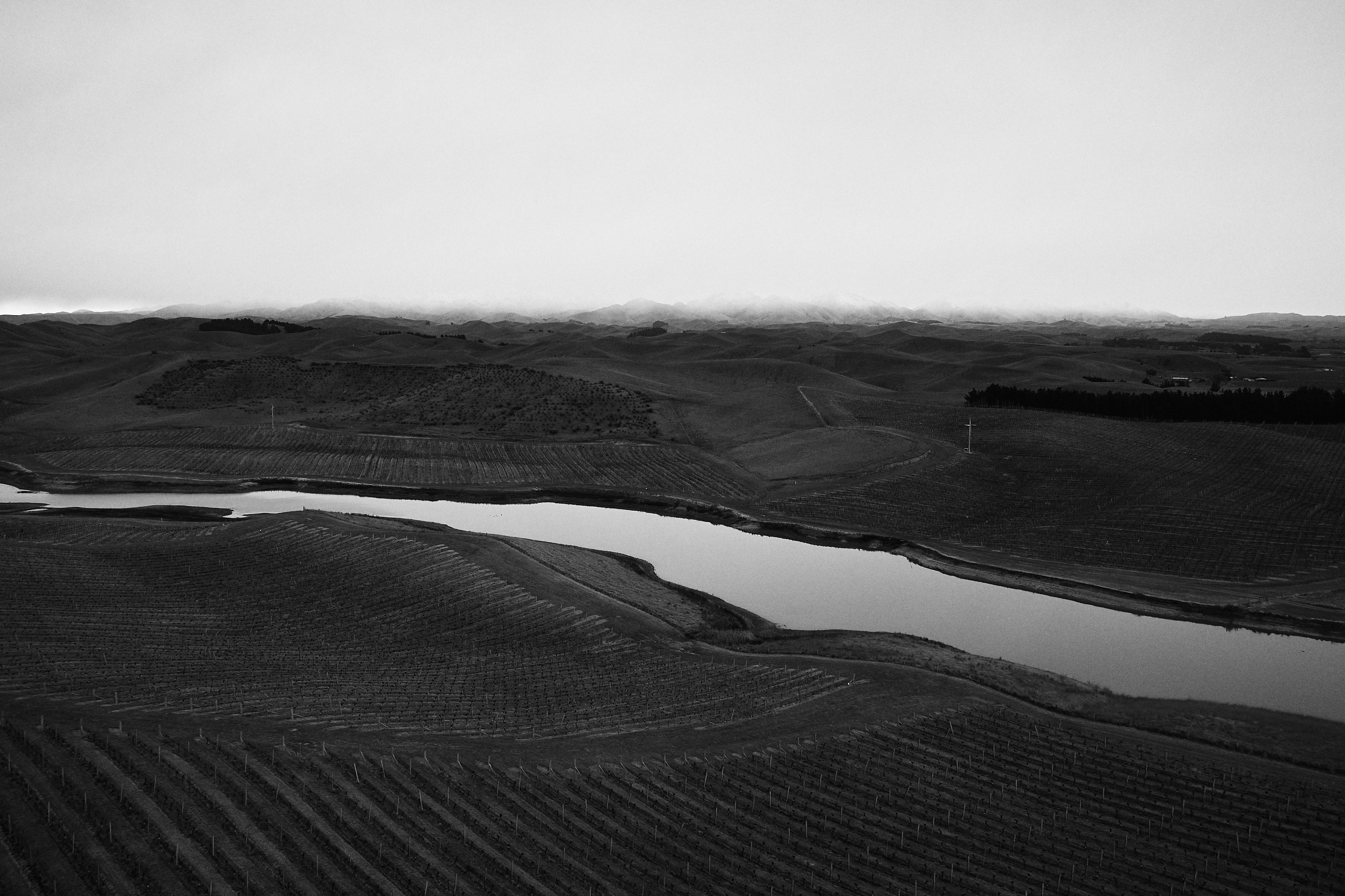 The Collective Force - Drylands Winery