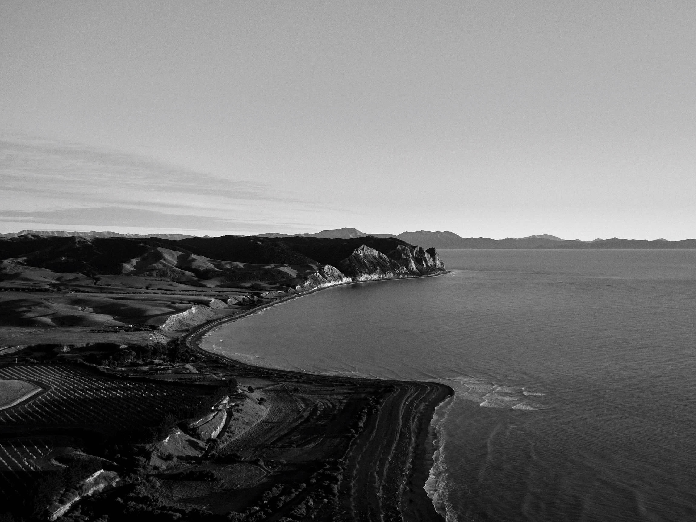 The Collective Force - Drylands Winery