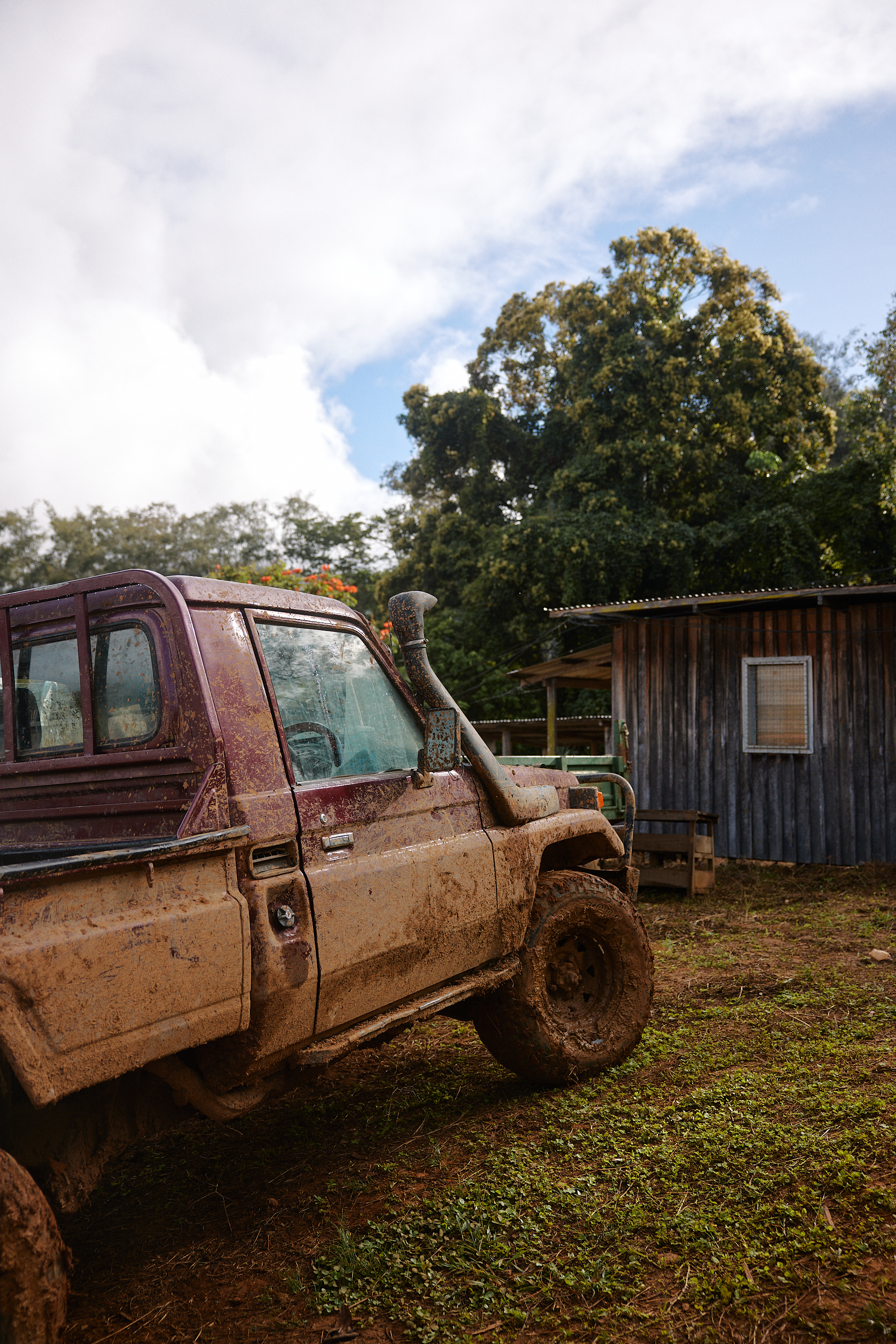 The Collective Force - Fairtrade | Papua New Guinea