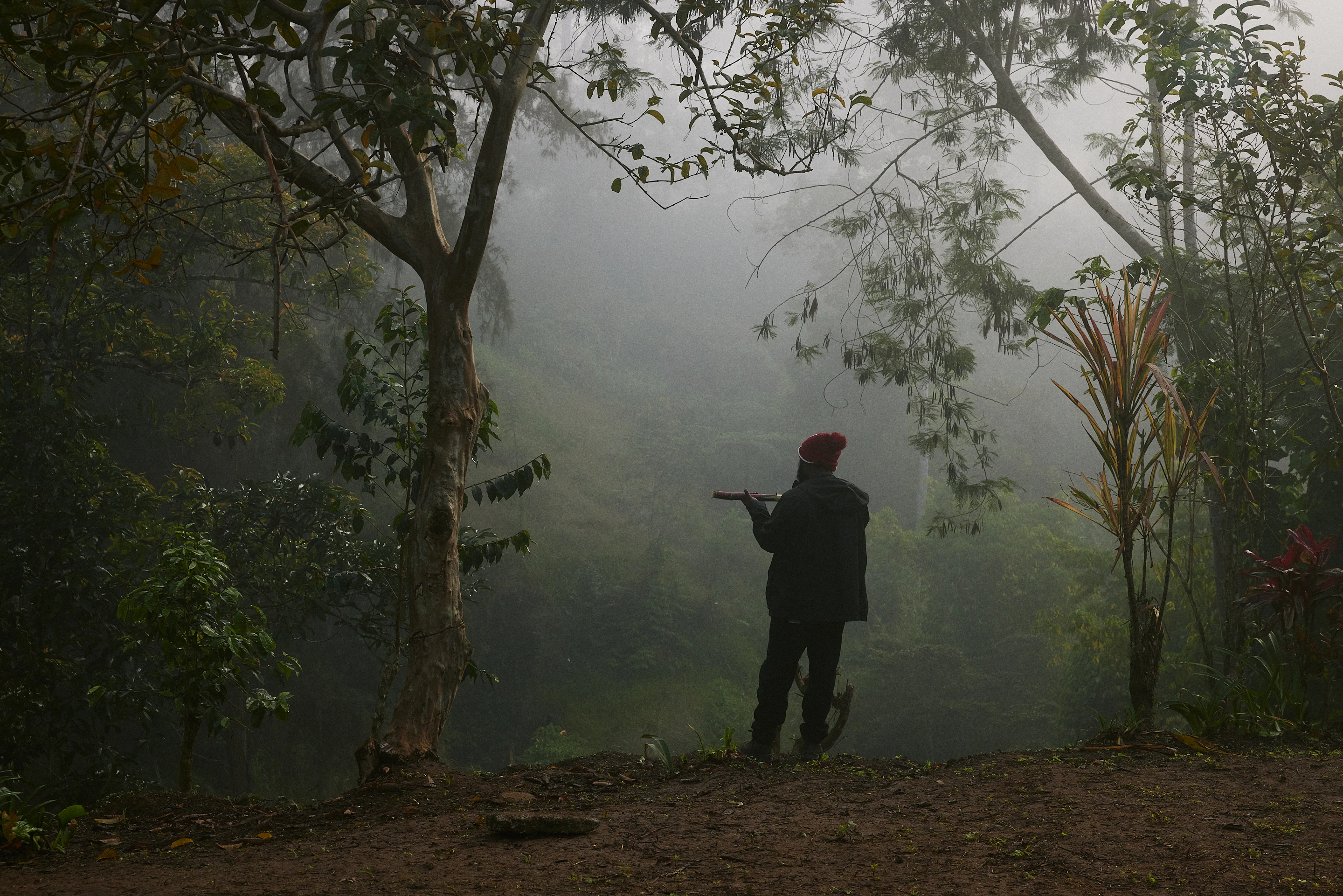 The Collective Force - Fairtrade | Papua New Guinea