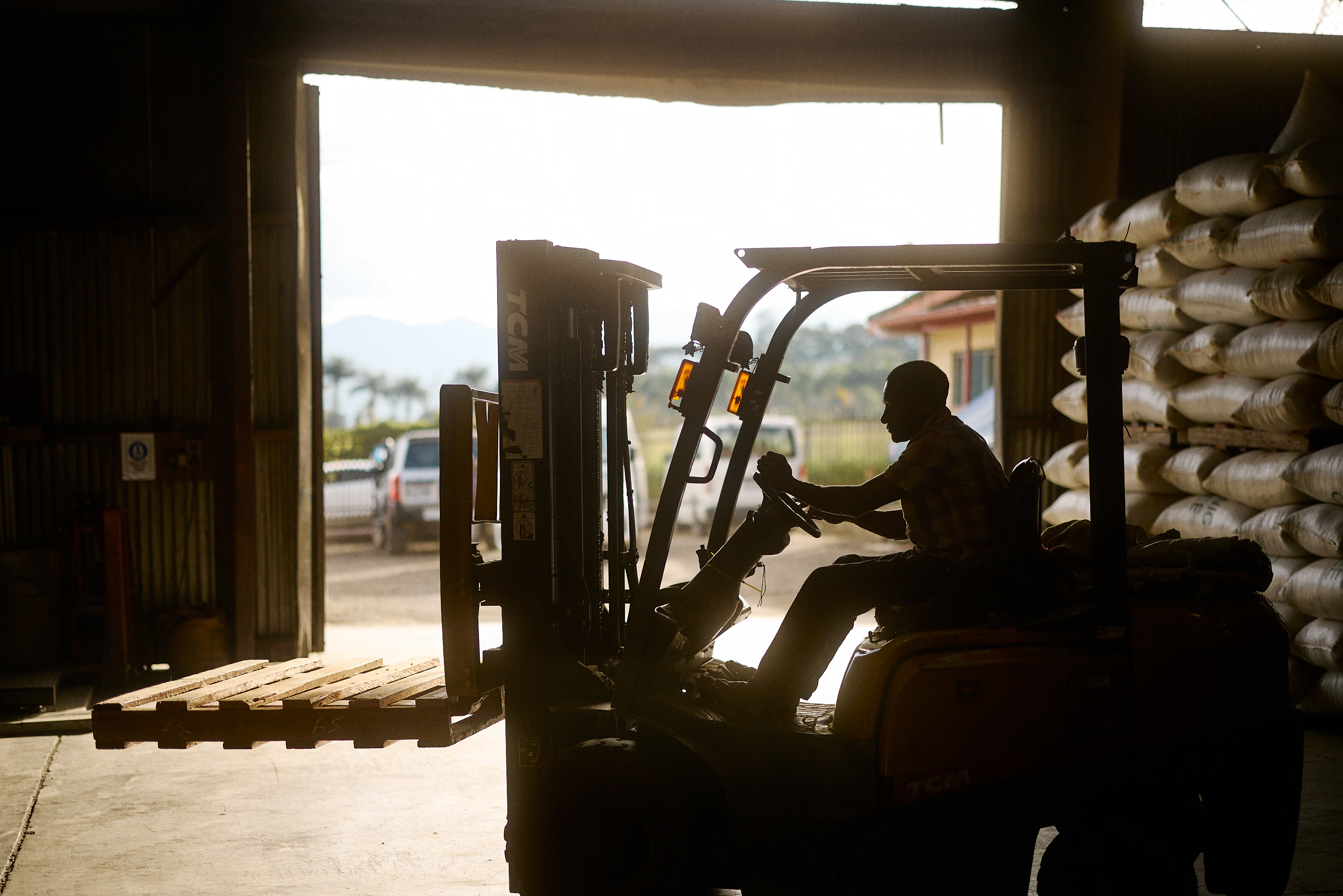 The Collective Force - Fairtrade | Papua New Guinea