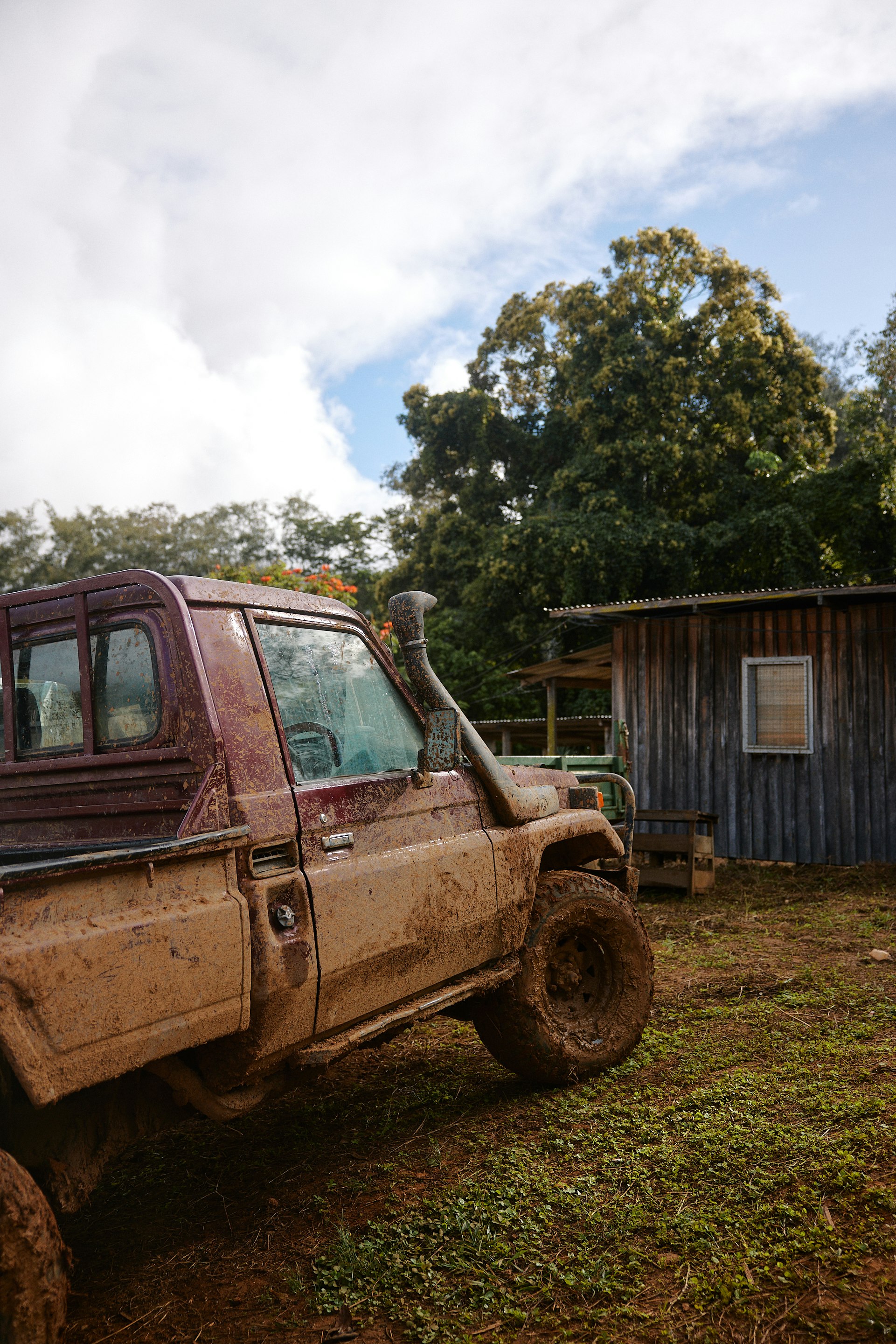The Collective Force - Fairtrade | Papua New Guinea