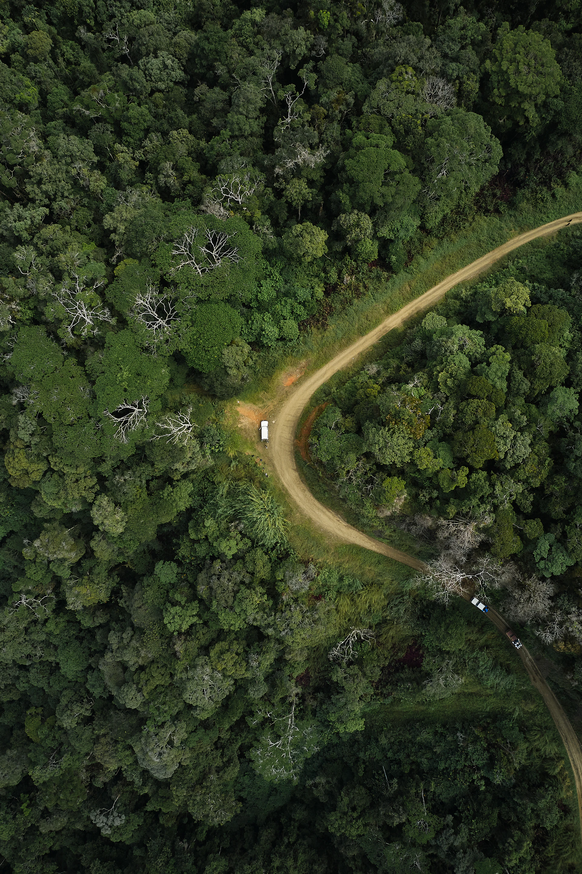 The Collective Force - Fairtrade | Papua New Guinea