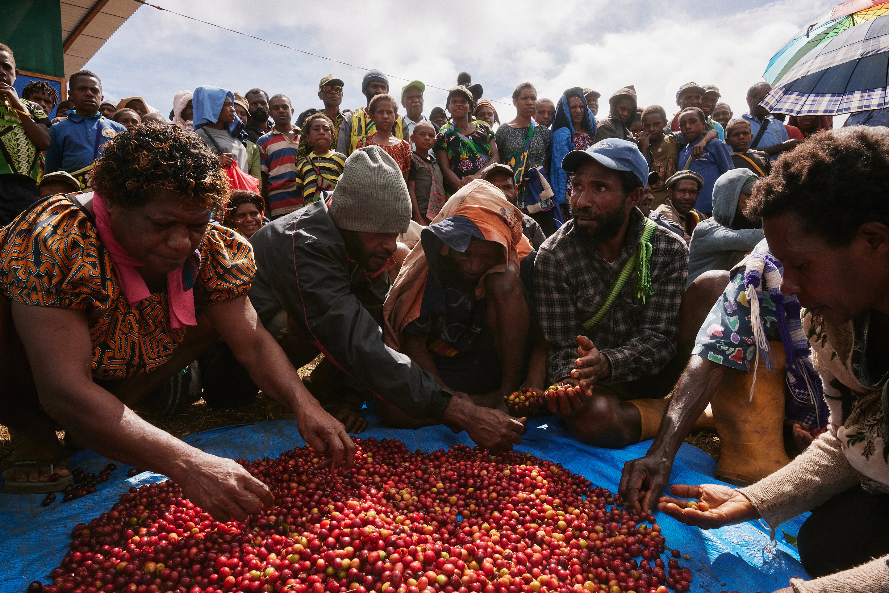 The Collective Force - Fairtrade | Papua New Guinea