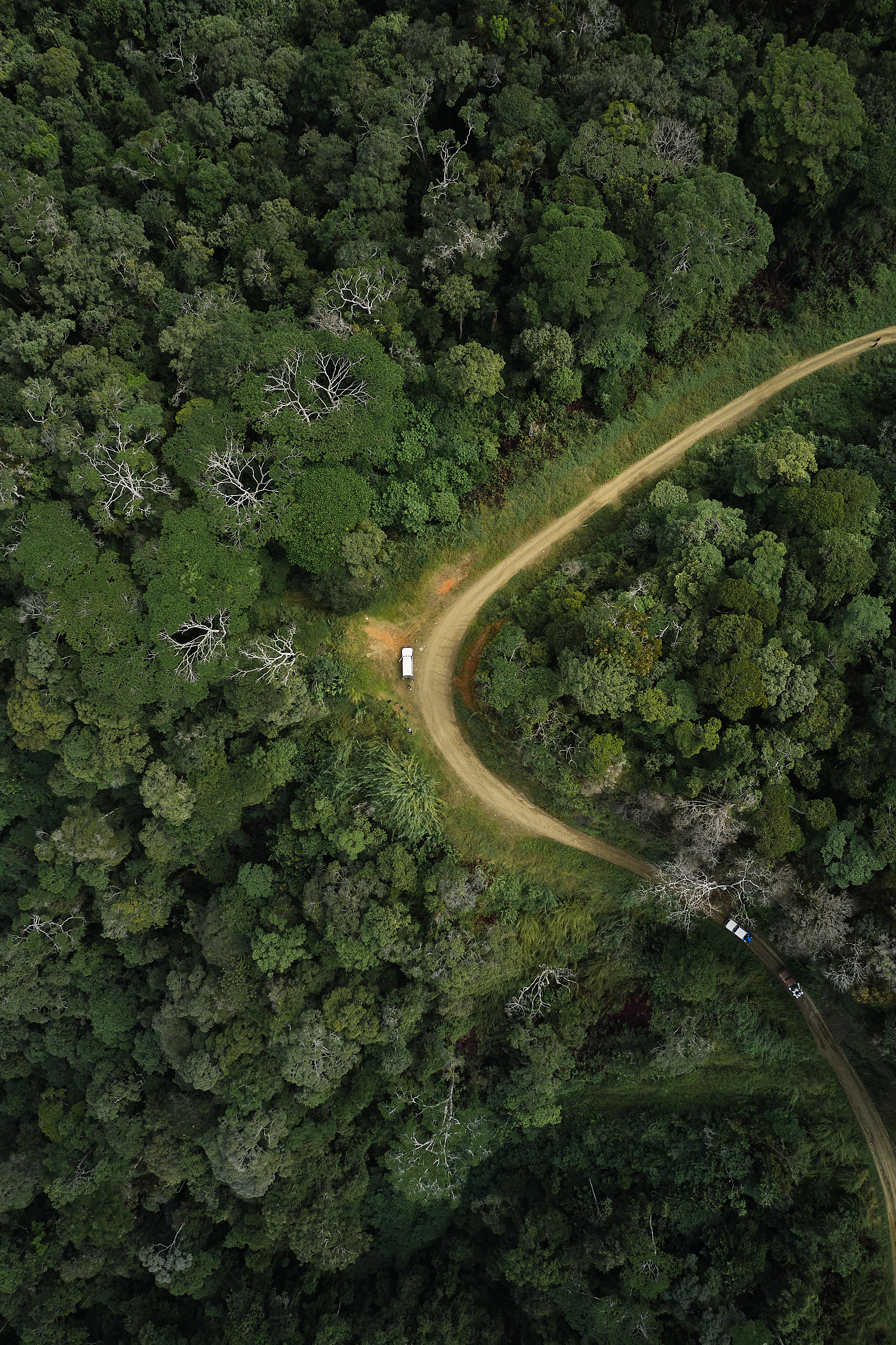 The Collective Force - Fairtrade | Papua New Guinea