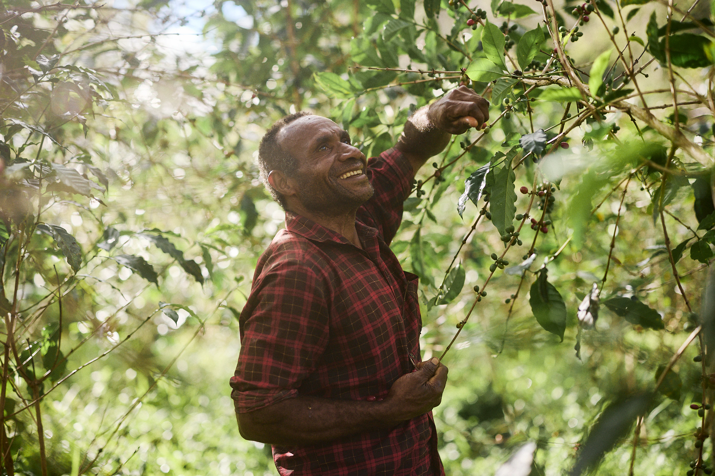 The Collective Force - Fairtrade | Papua New Guinea