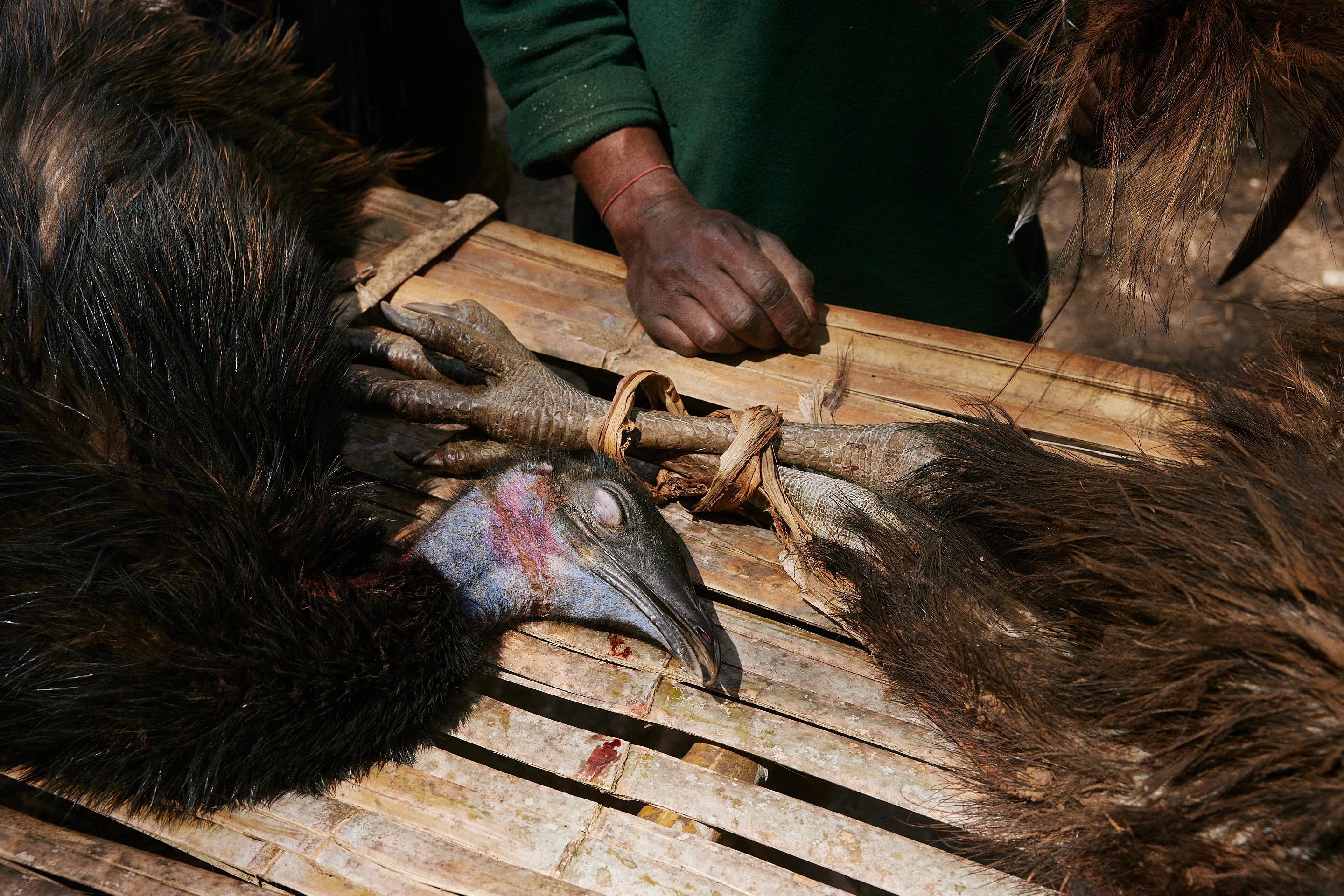 The Collective Force - Fairtrade | Papua New Guinea