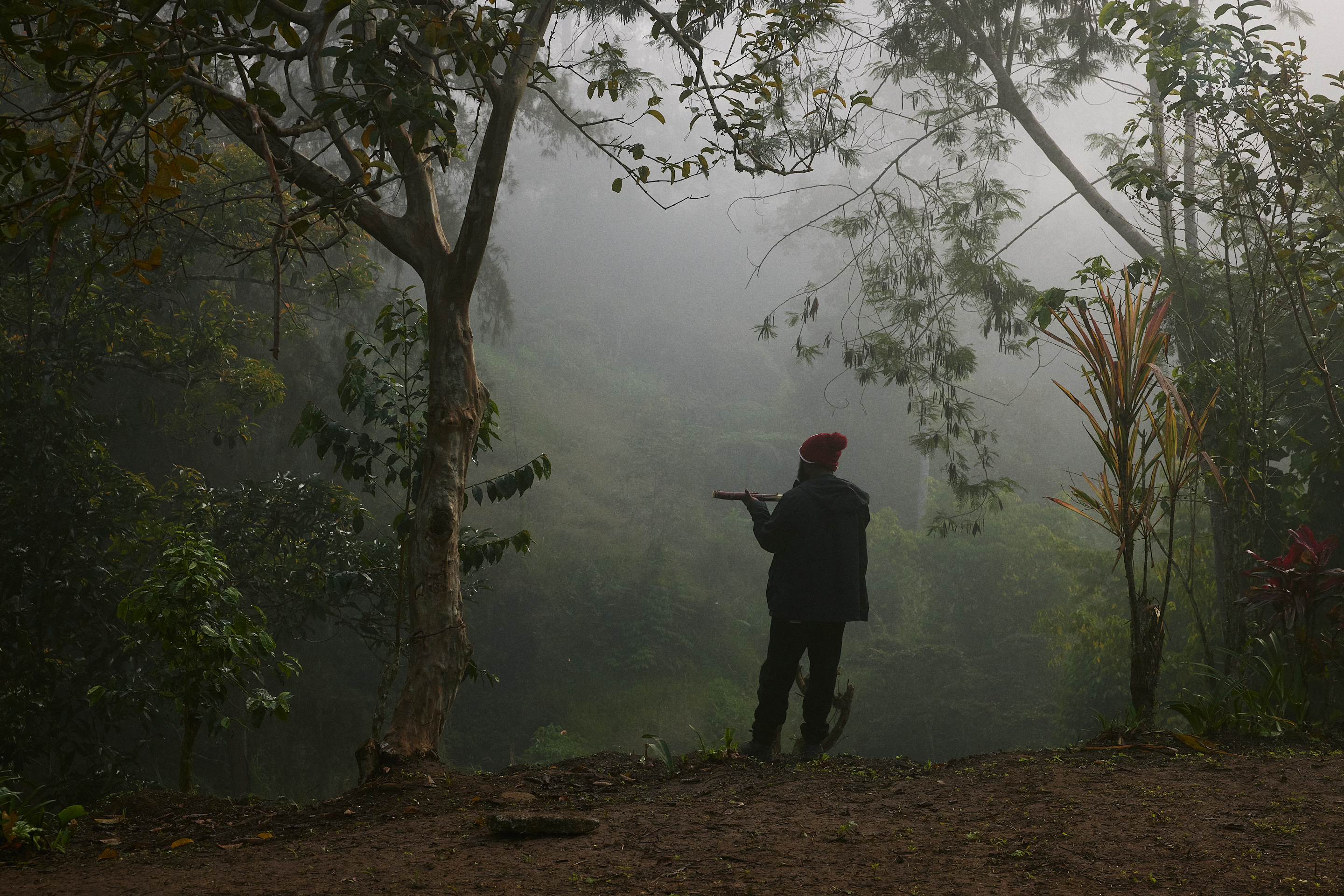 The Collective Force - Fairtrade | Papua New Guinea