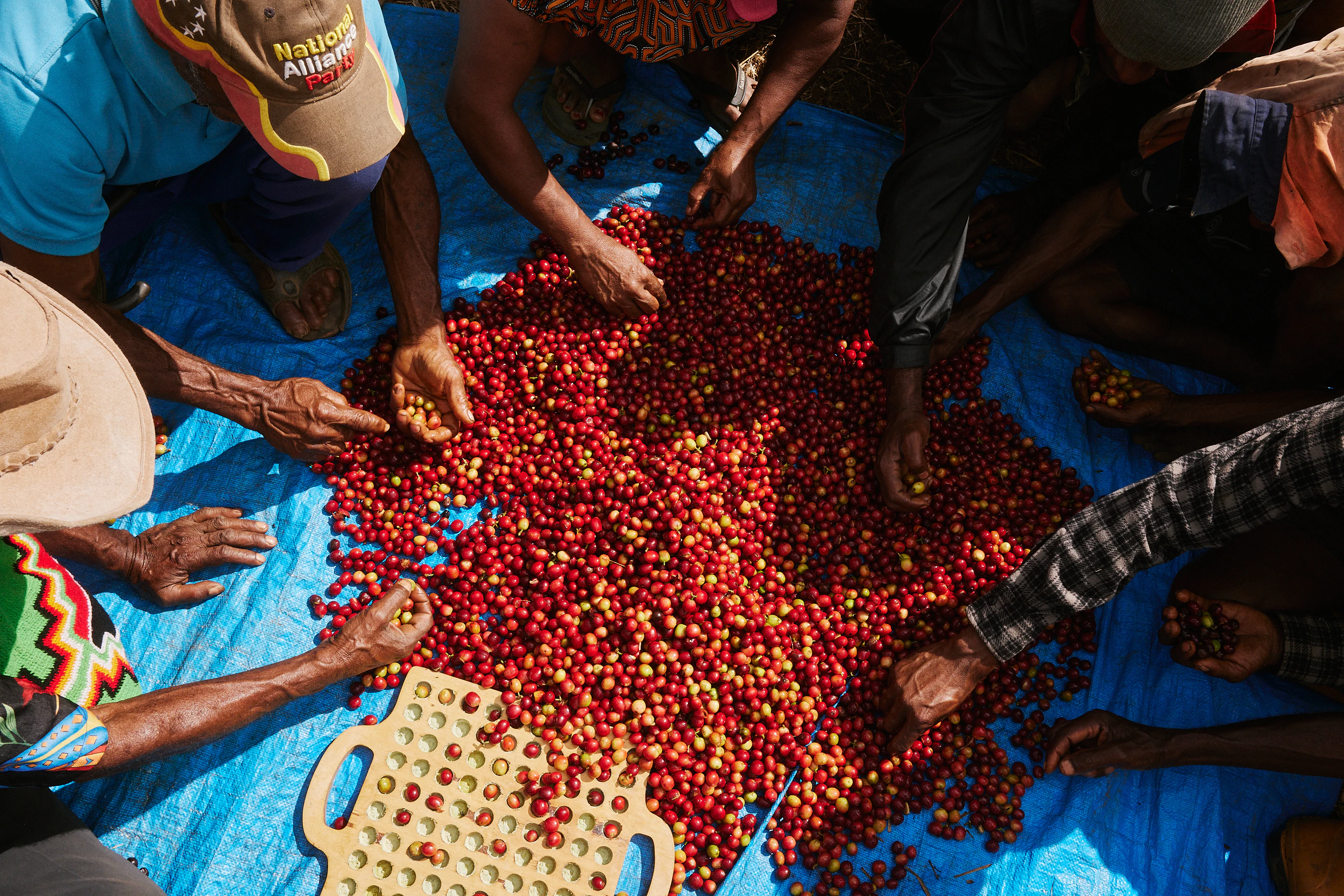 The Collective Force - Fairtrade | Papua New Guinea