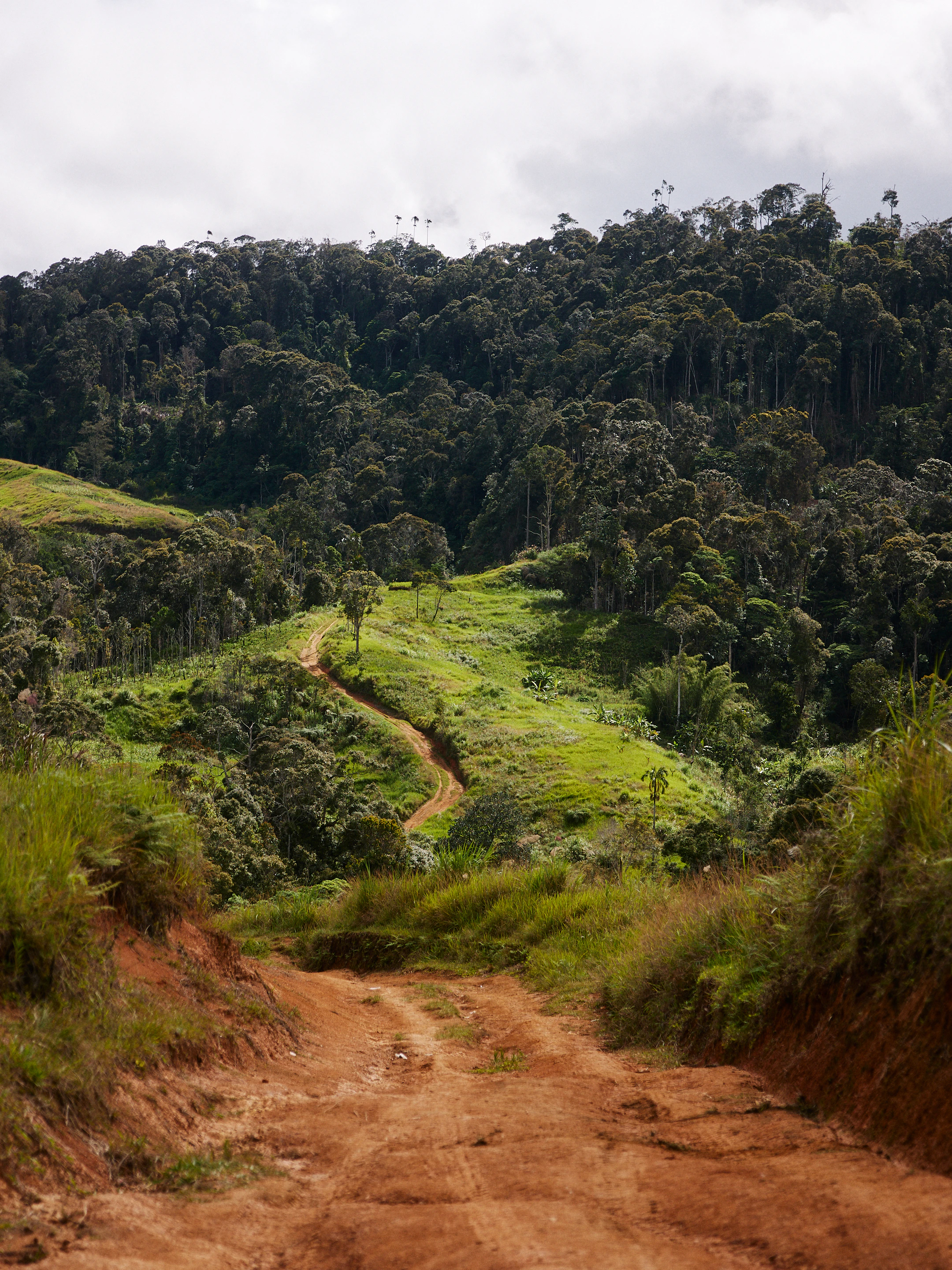 The Collective Force - Fairtrade | Papua New Guinea