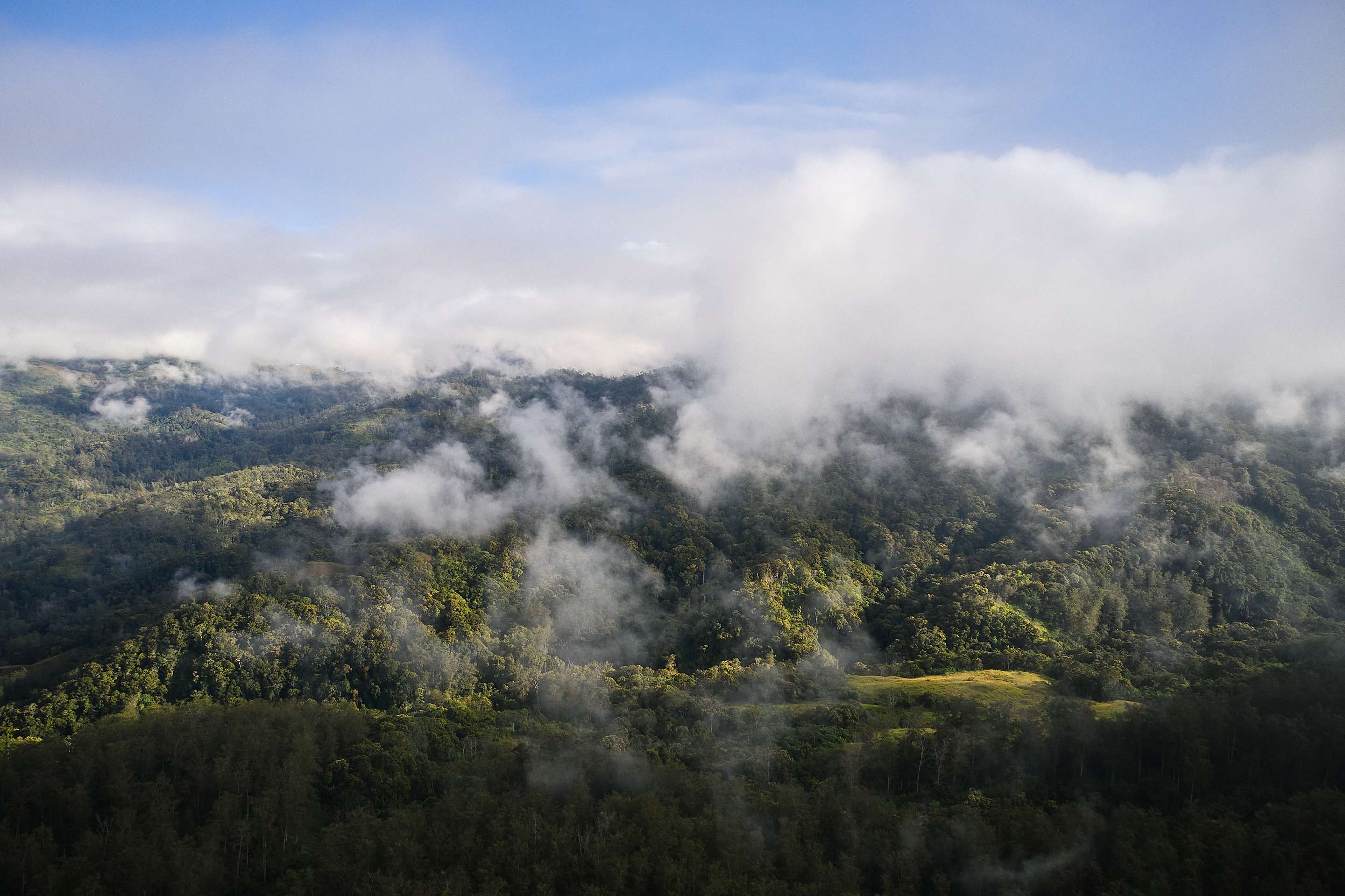 The Collective Force - Fairtrade | Papua New Guinea