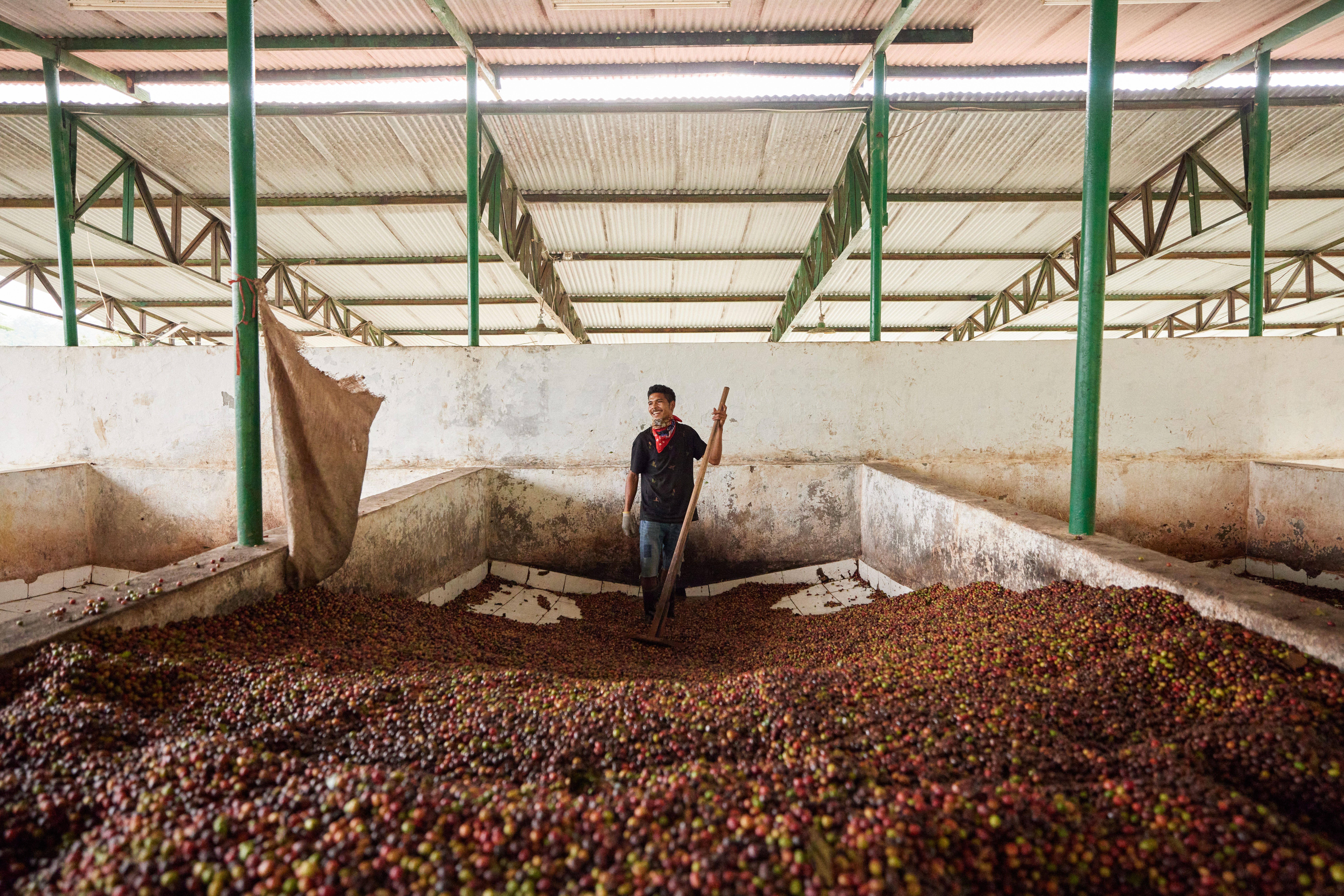 The Collective Force - Fairtrade | Timor Leste