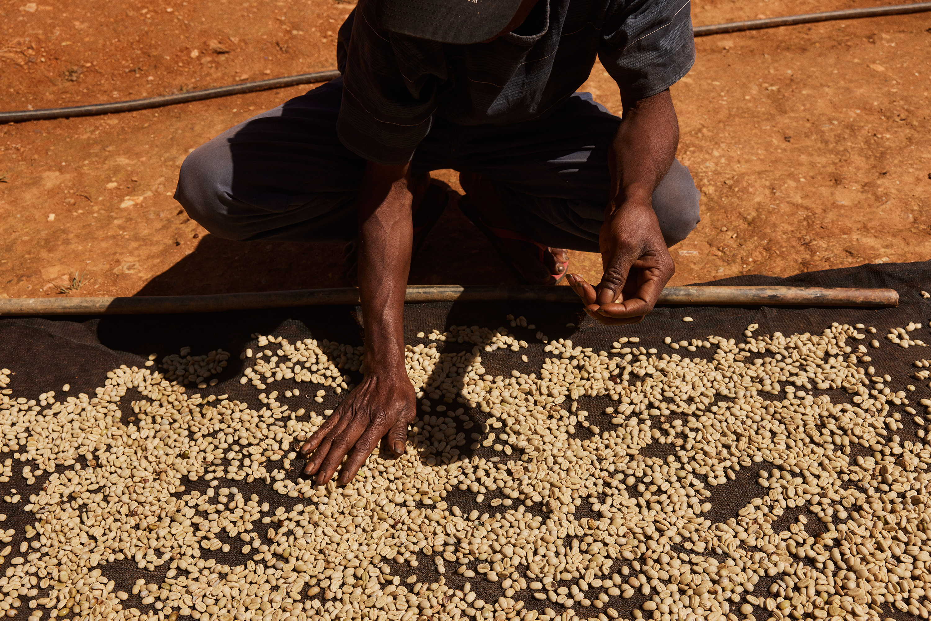 The Collective Force - Fairtrade | Timor Leste