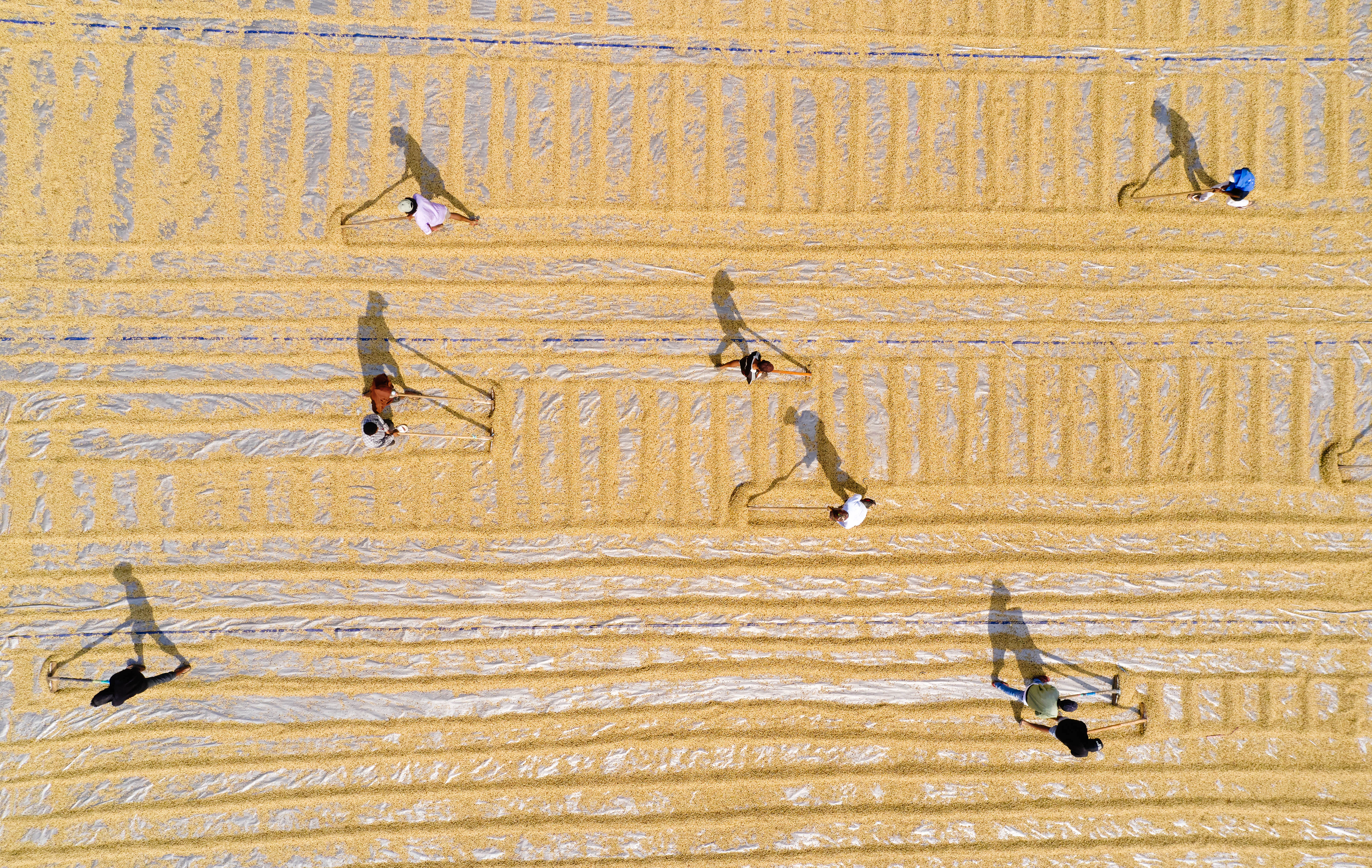 The Collective Force - Fairtrade | Timor Leste