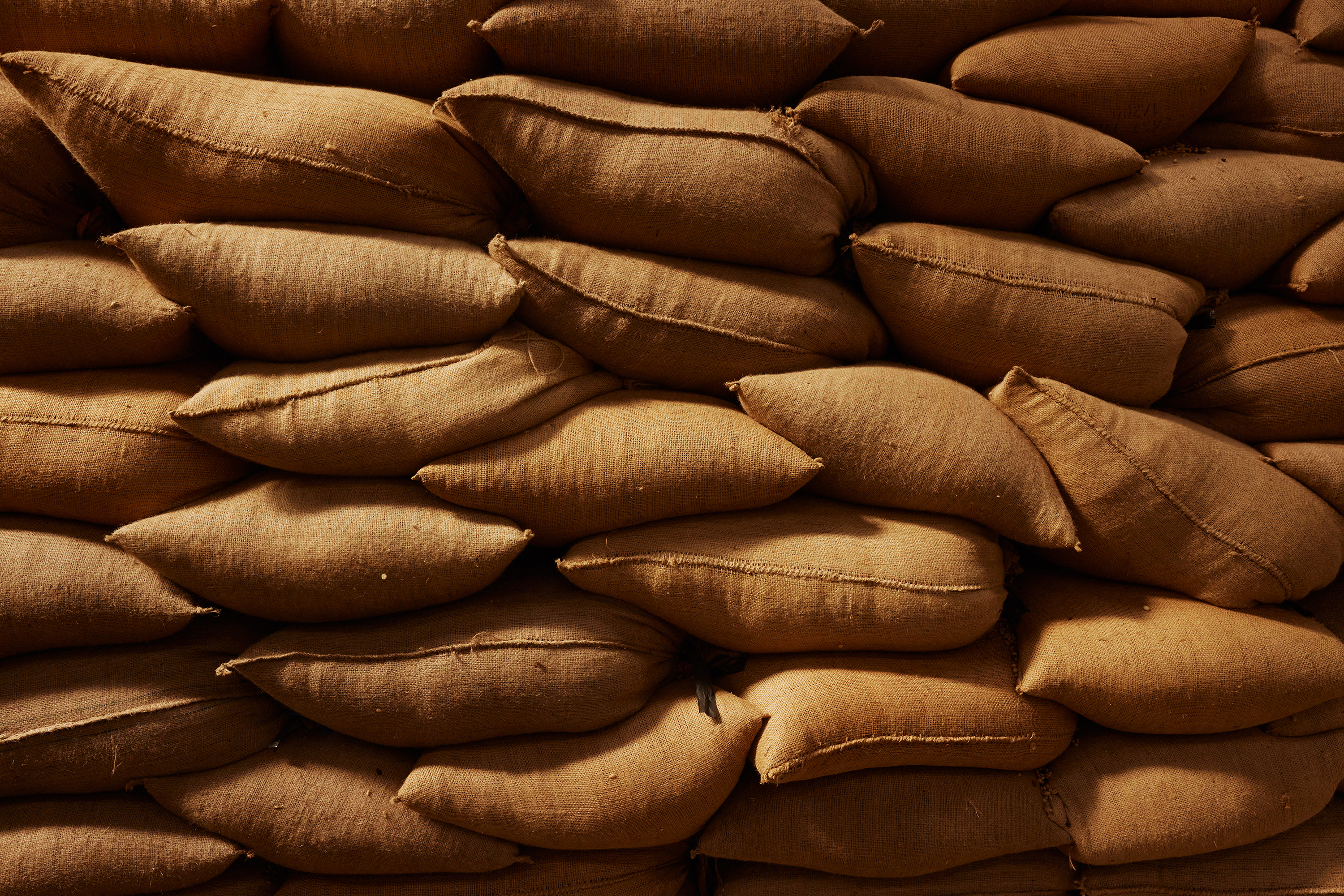 The Collective Force - Fairtrade | Timor Leste