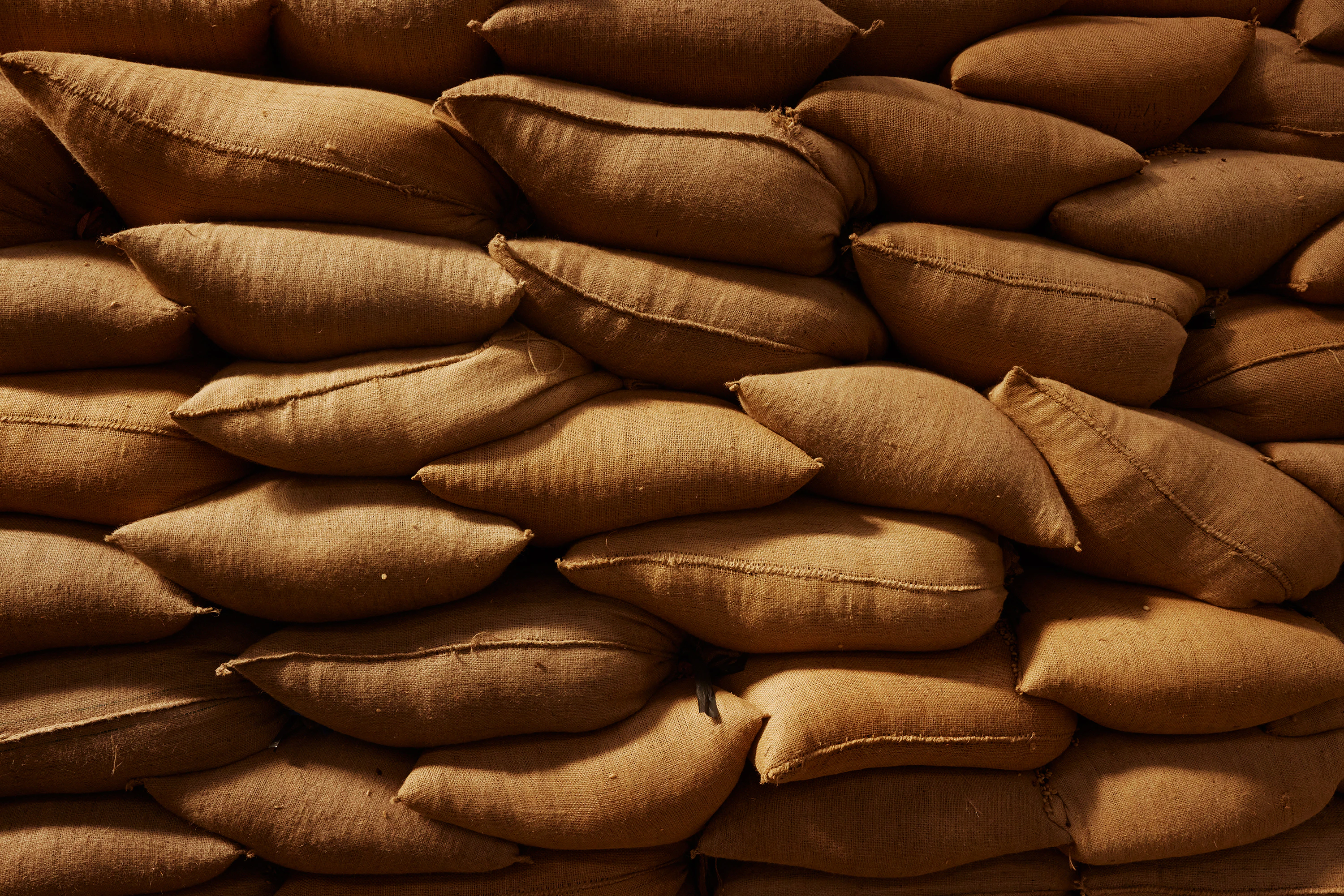 The Collective Force - Fairtrade | Timor Leste