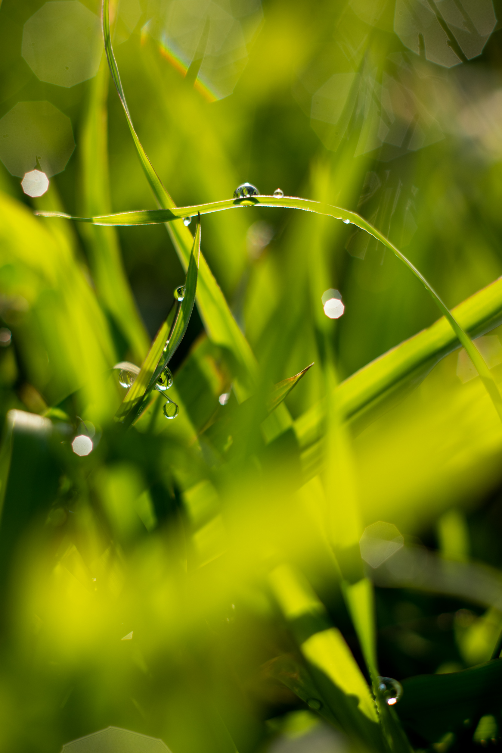 The Collective Force - Fonterra