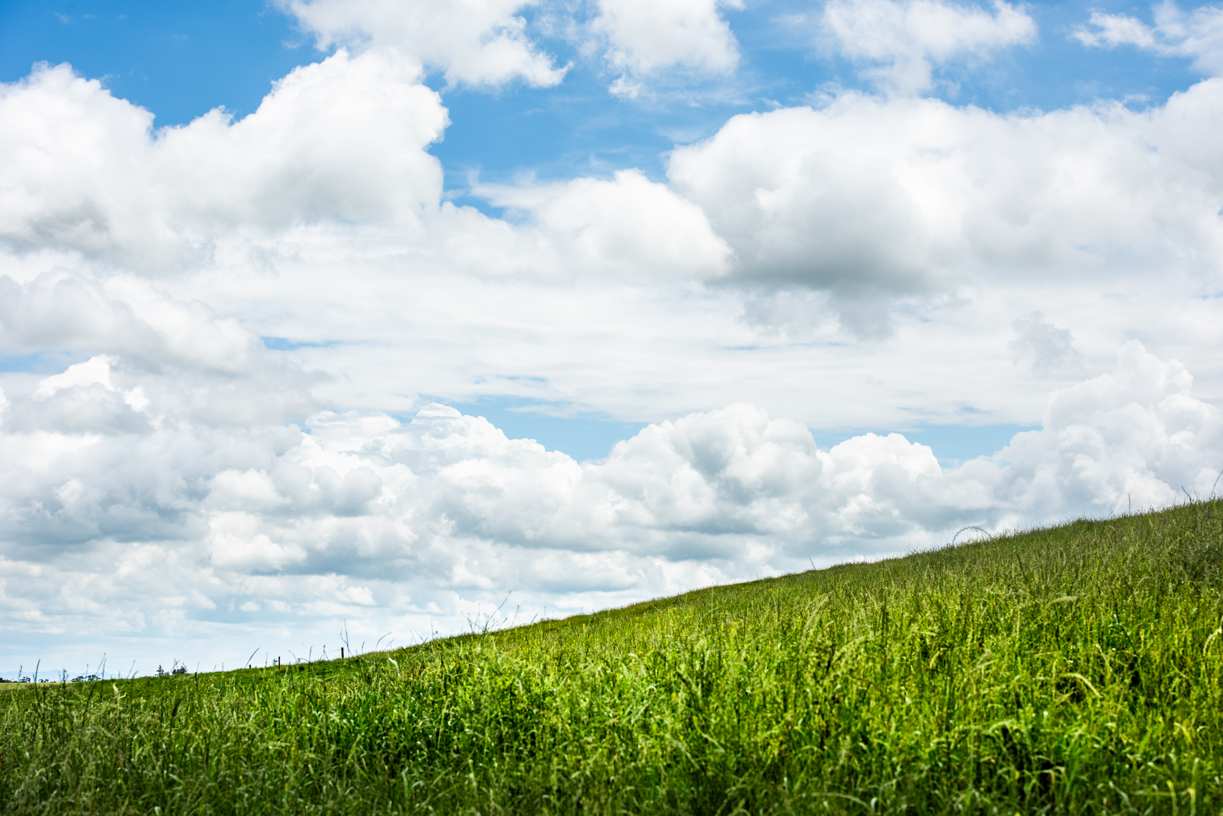 The Collective Force - Fonterra