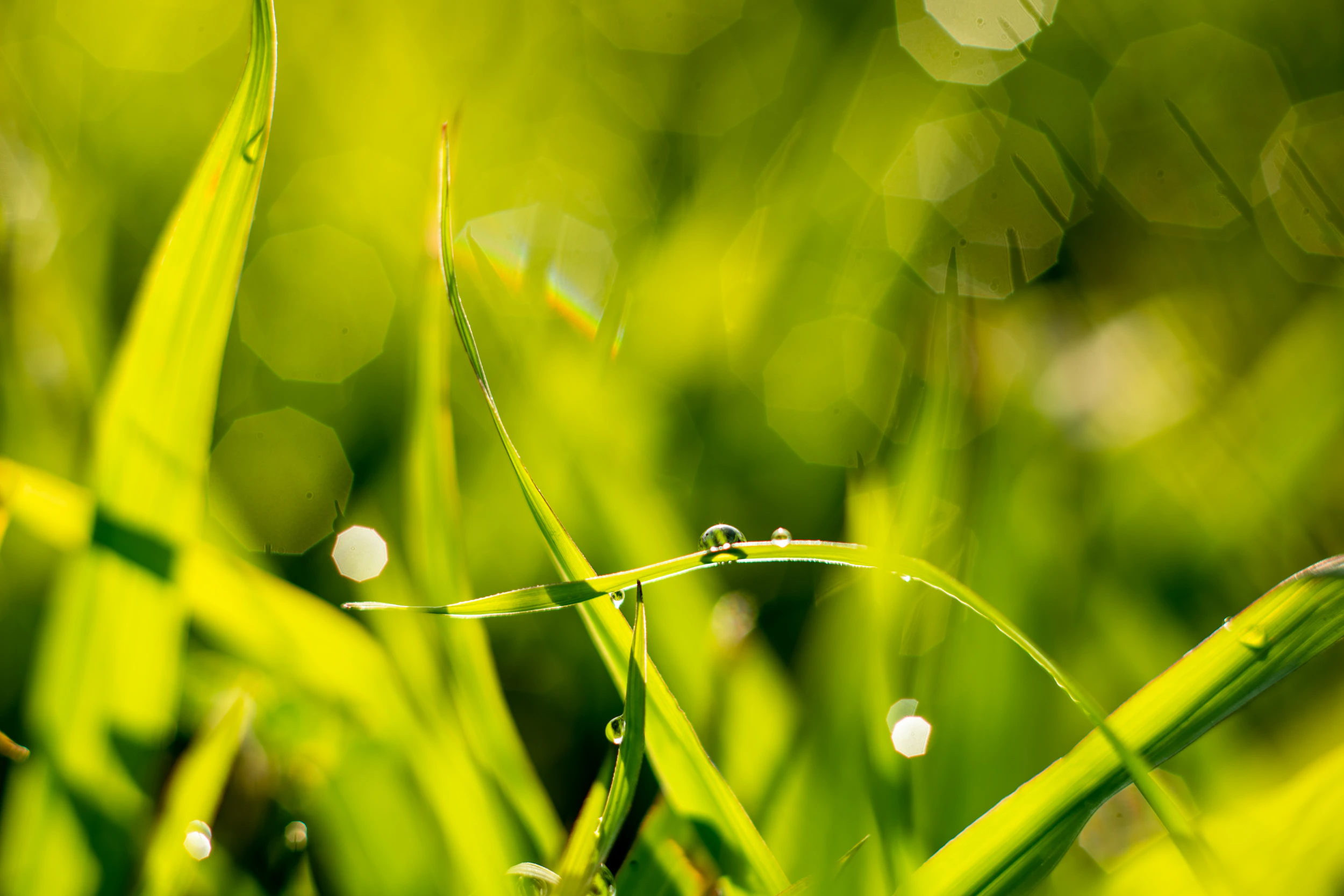 The Collective Force - Fonterra