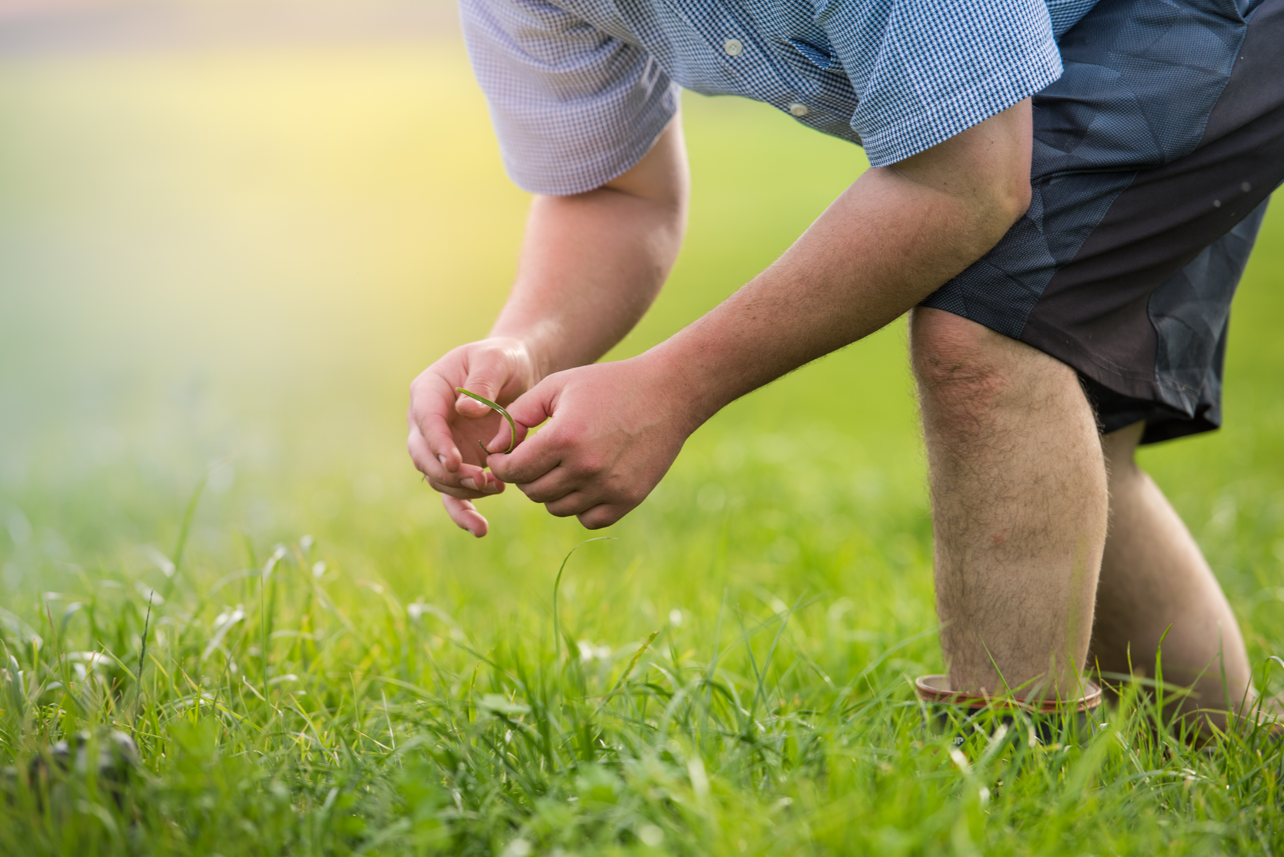 The Collective Force - Fonterra