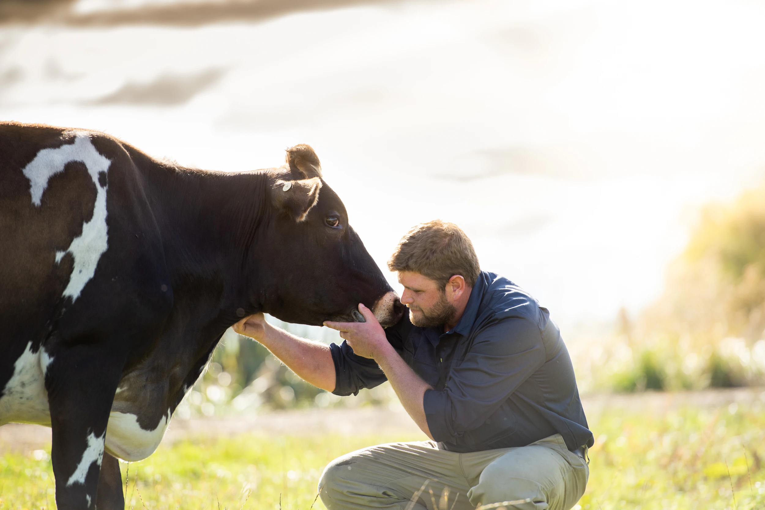The Collective Force - Fonterra