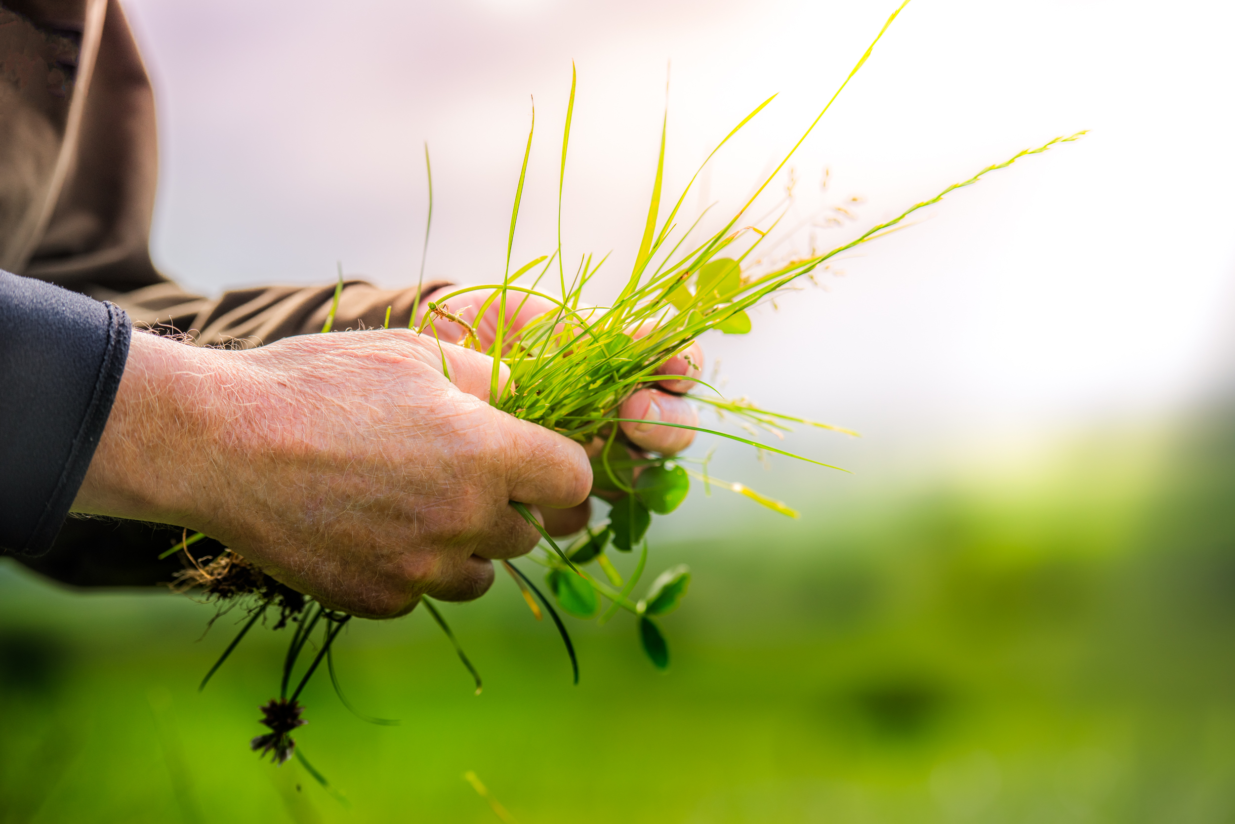 The Collective Force - Fonterra