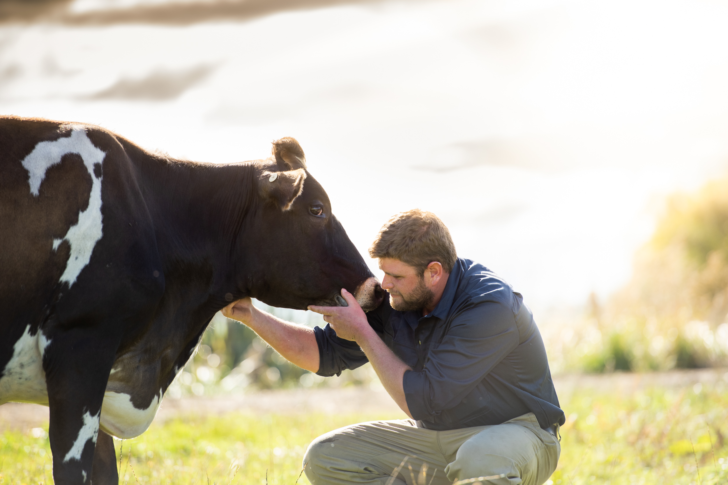 The Collective Force - Fonterra