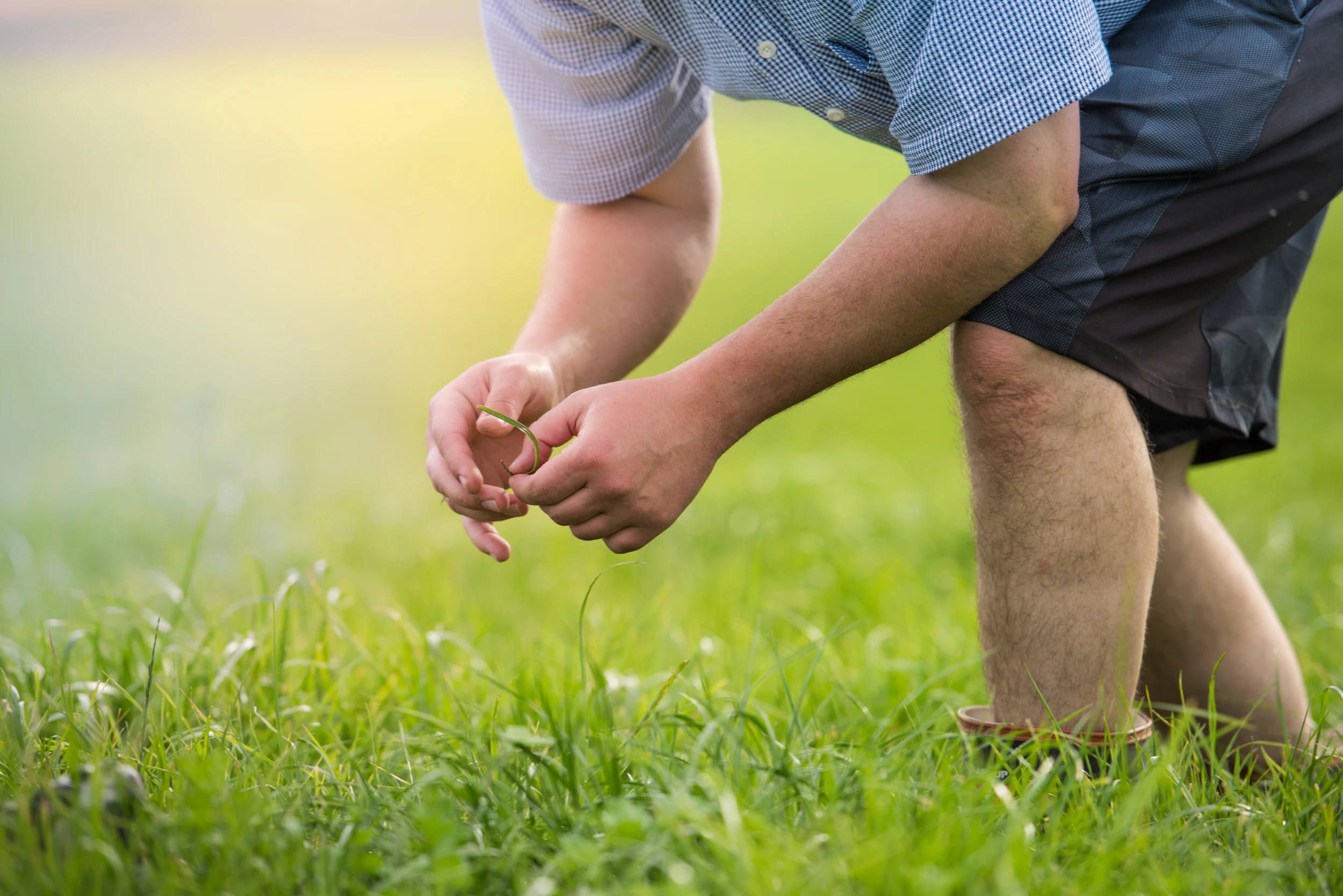 The Collective Force - Fonterra