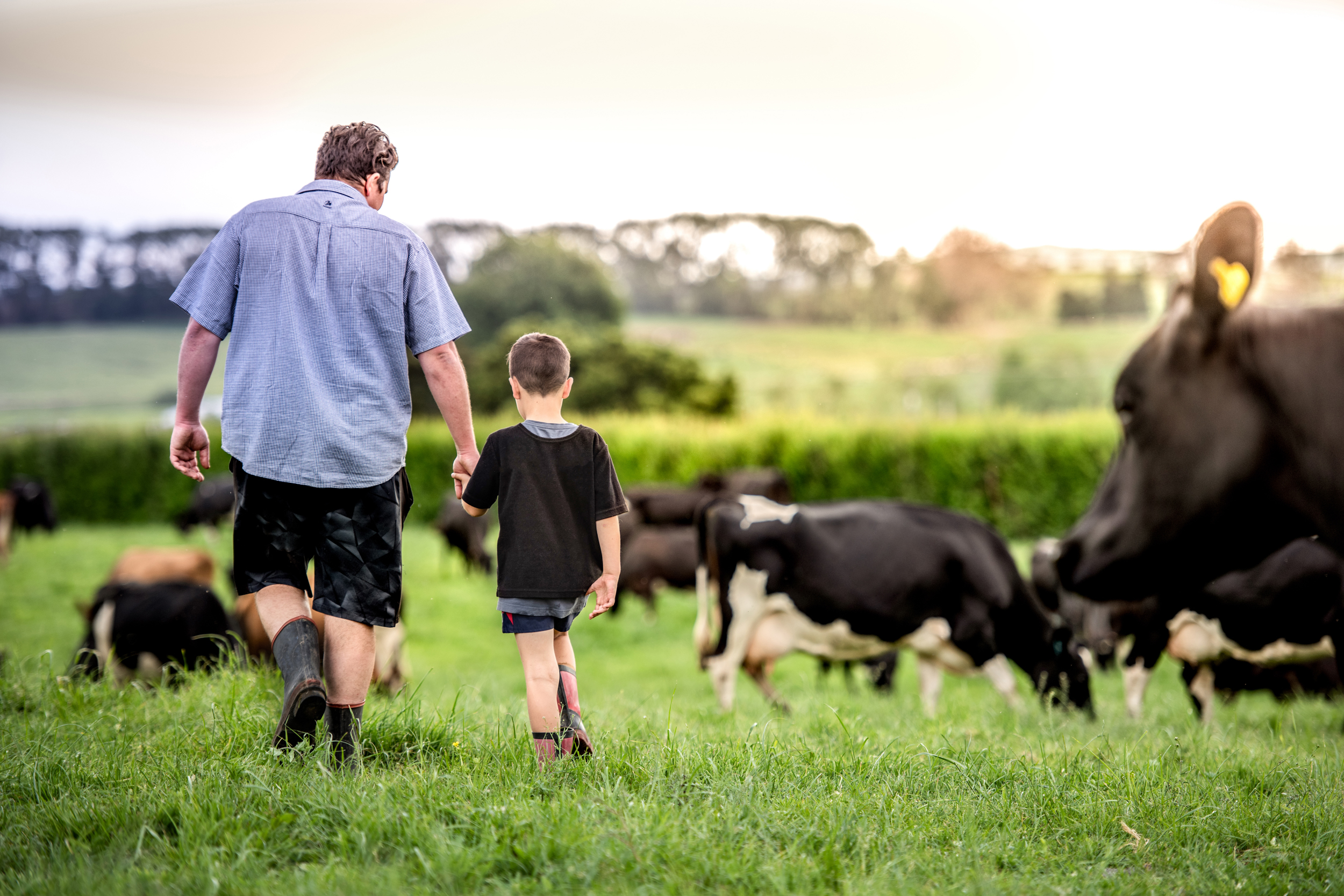 The Collective Force - Fonterra