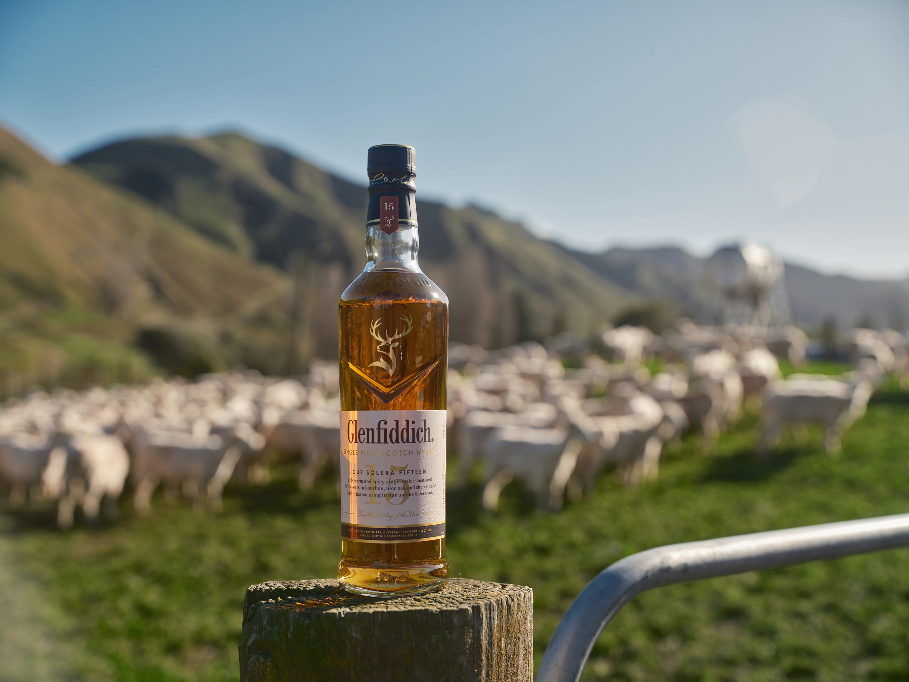 The Collective Force - Glenfiddich x Honest Wolf