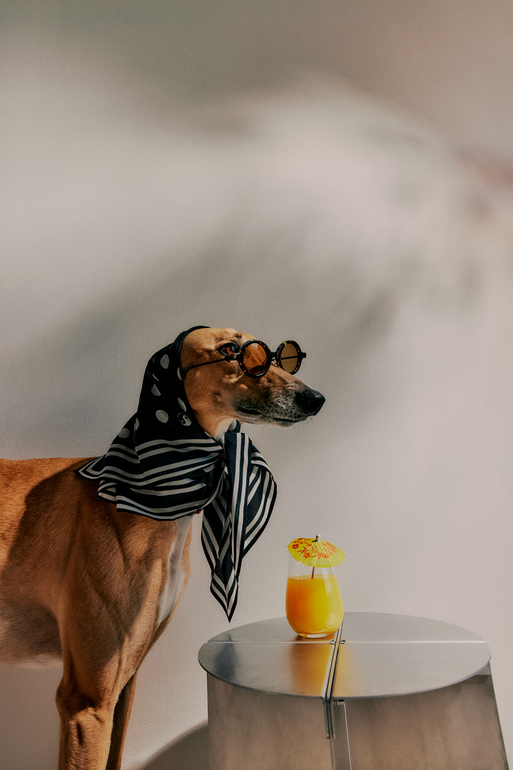 The Collective Force - Greathounds