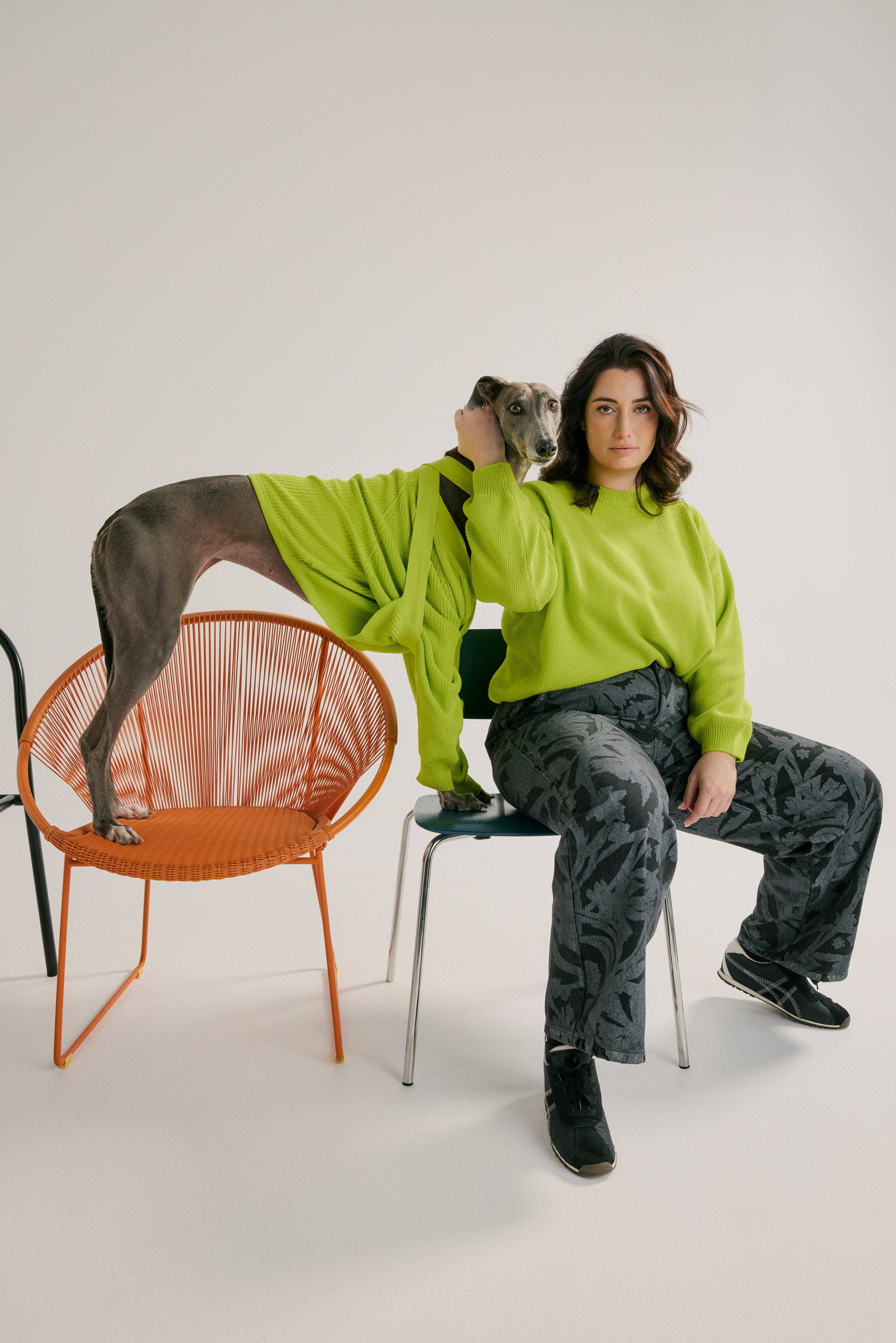 The Collective Force - Greathounds