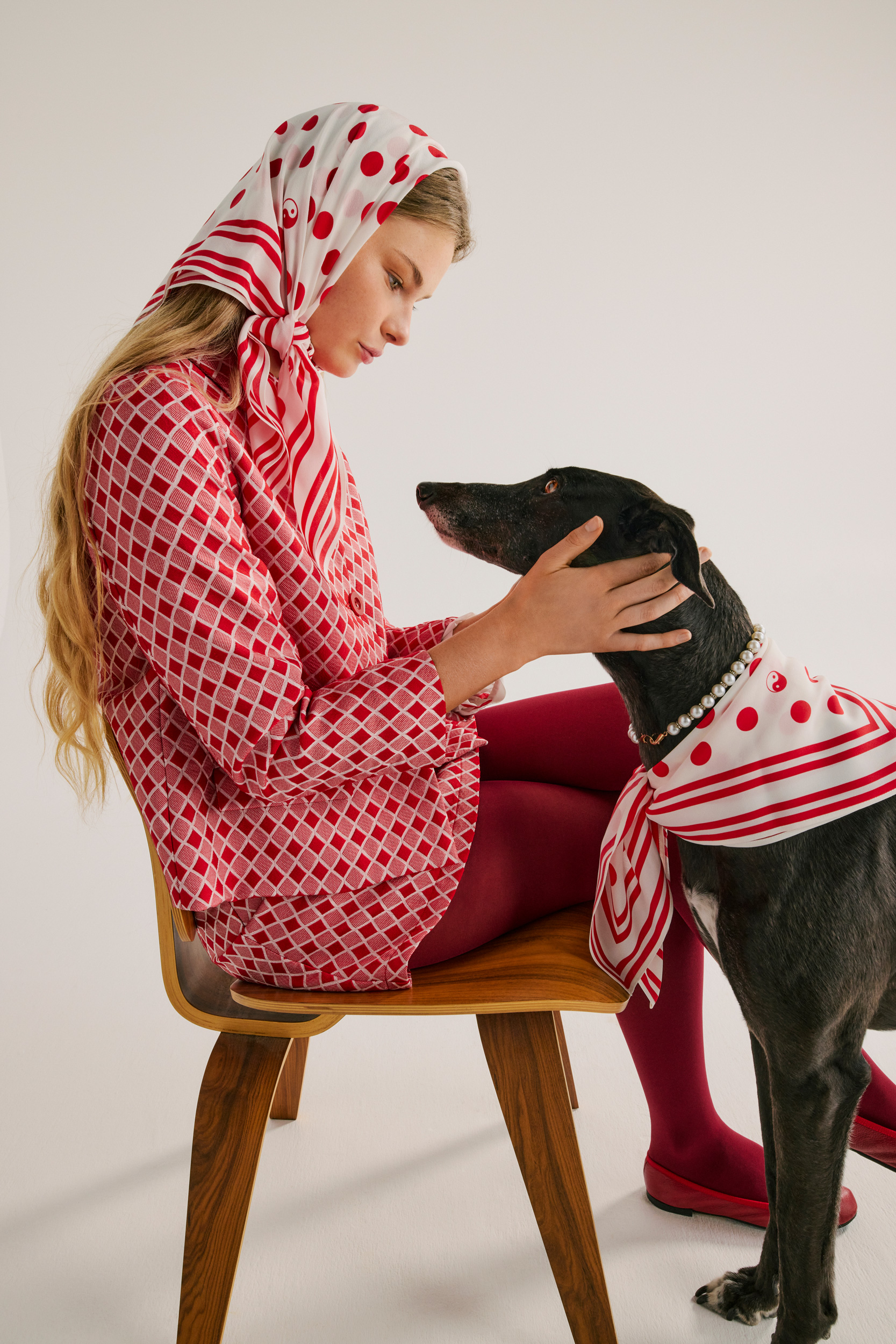 The Collective Force - Greathounds