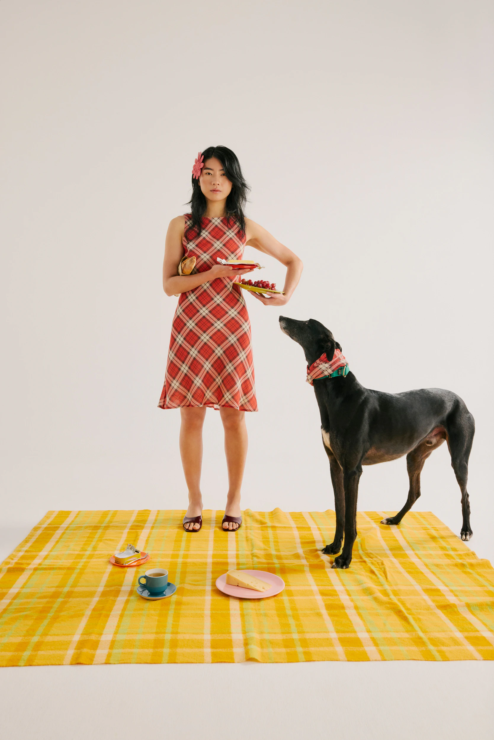 The Collective Force - Greathounds