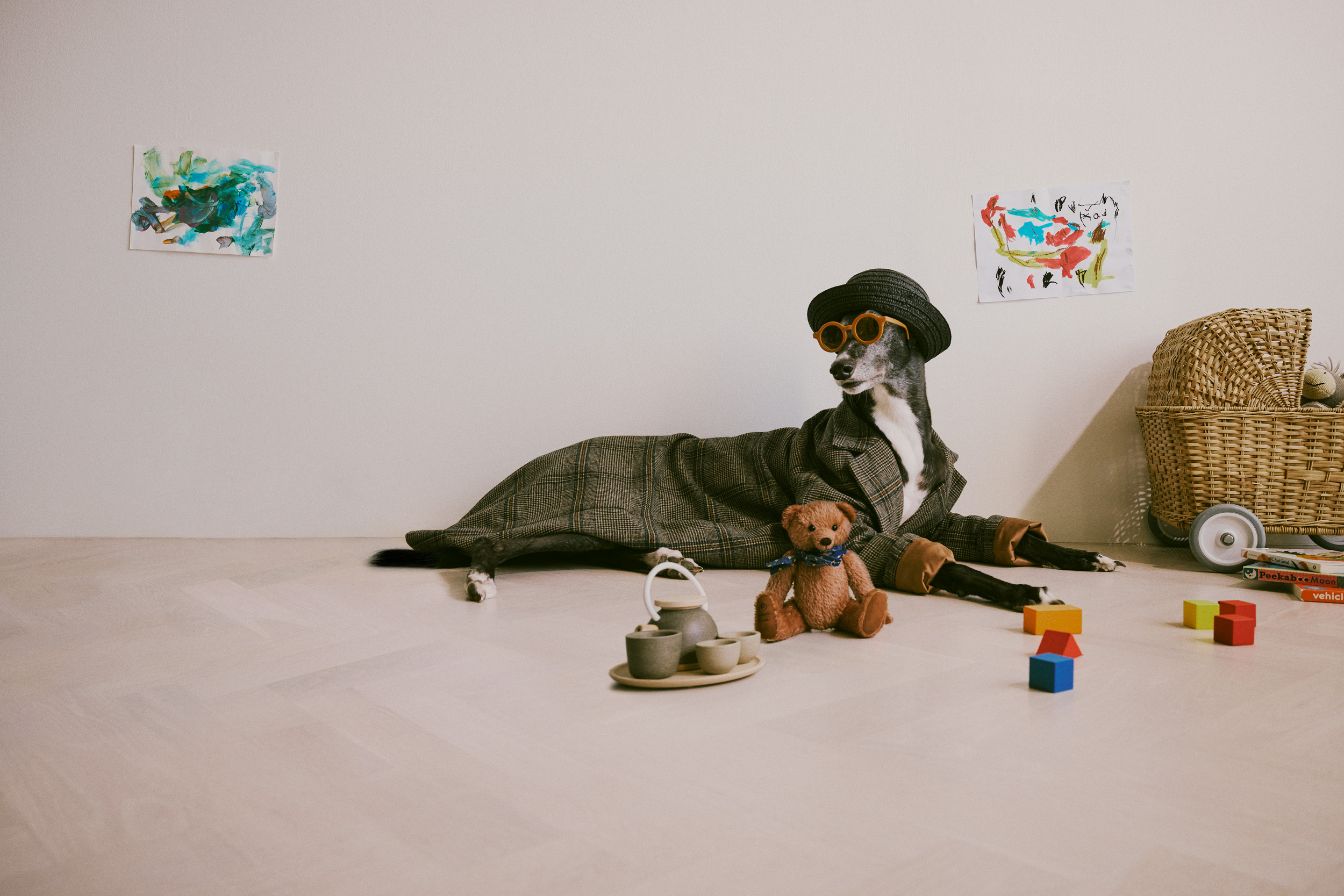 The Collective Force - Mara Sommer