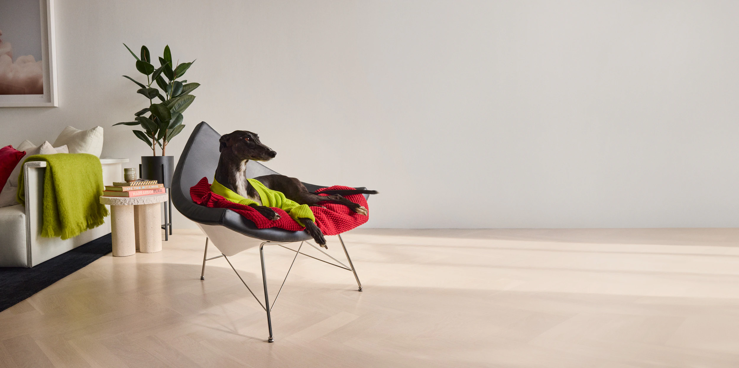 The Collective Force - Greathounds