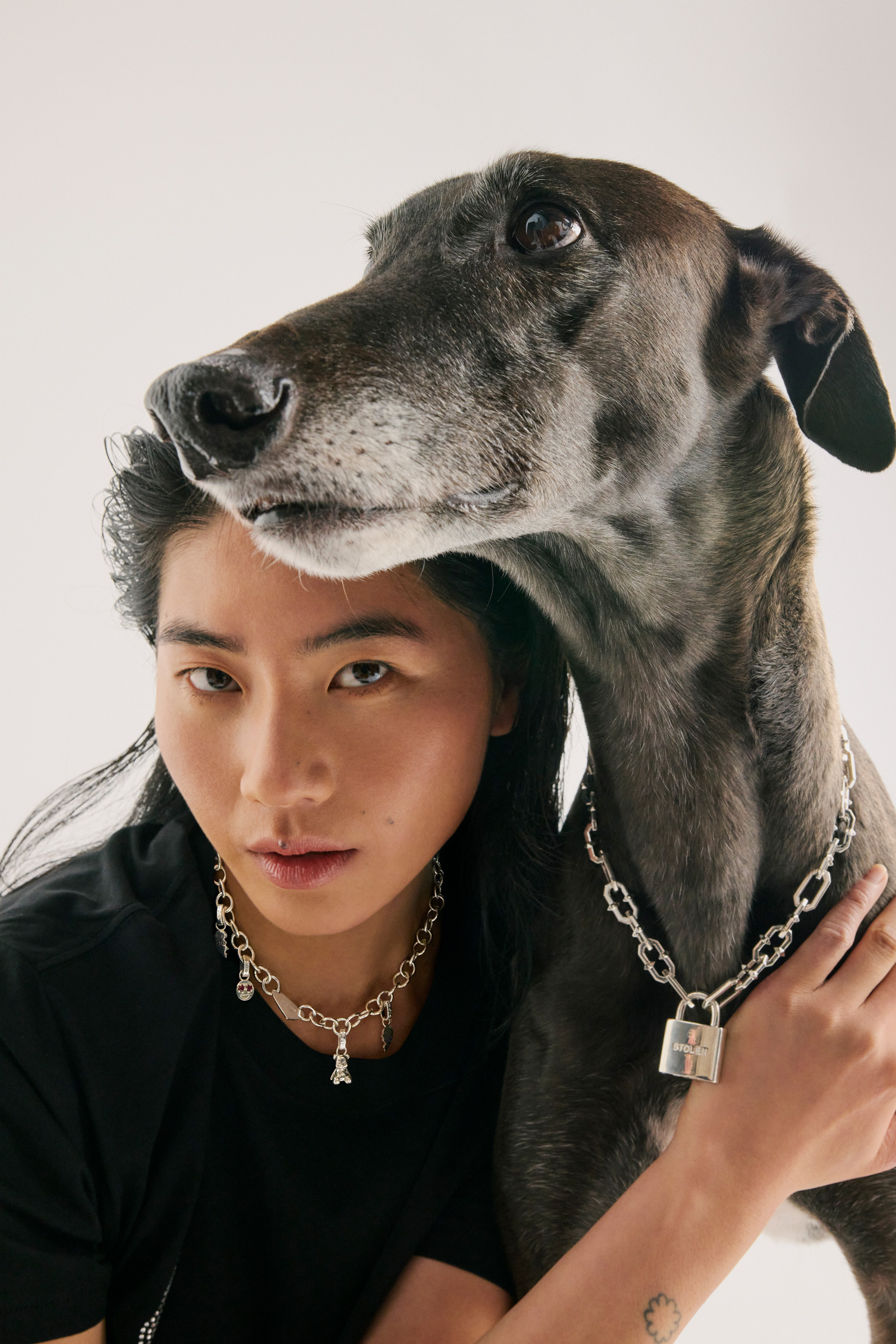 The Collective Force - Greathounds