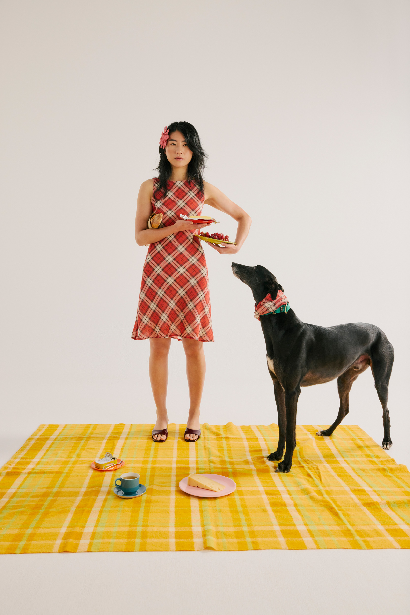 The Collective Force - Greathounds