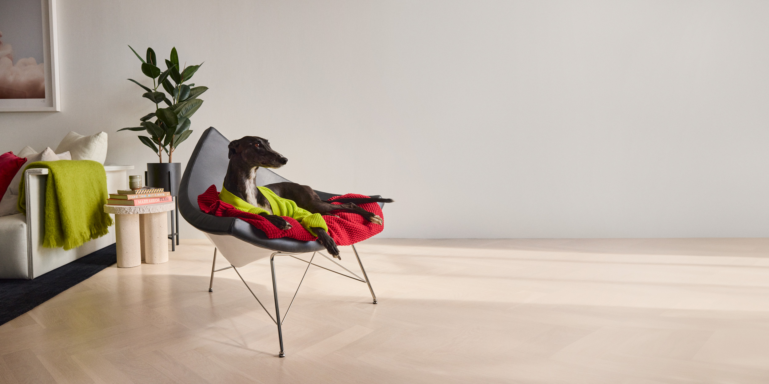 The Collective Force - Greathounds