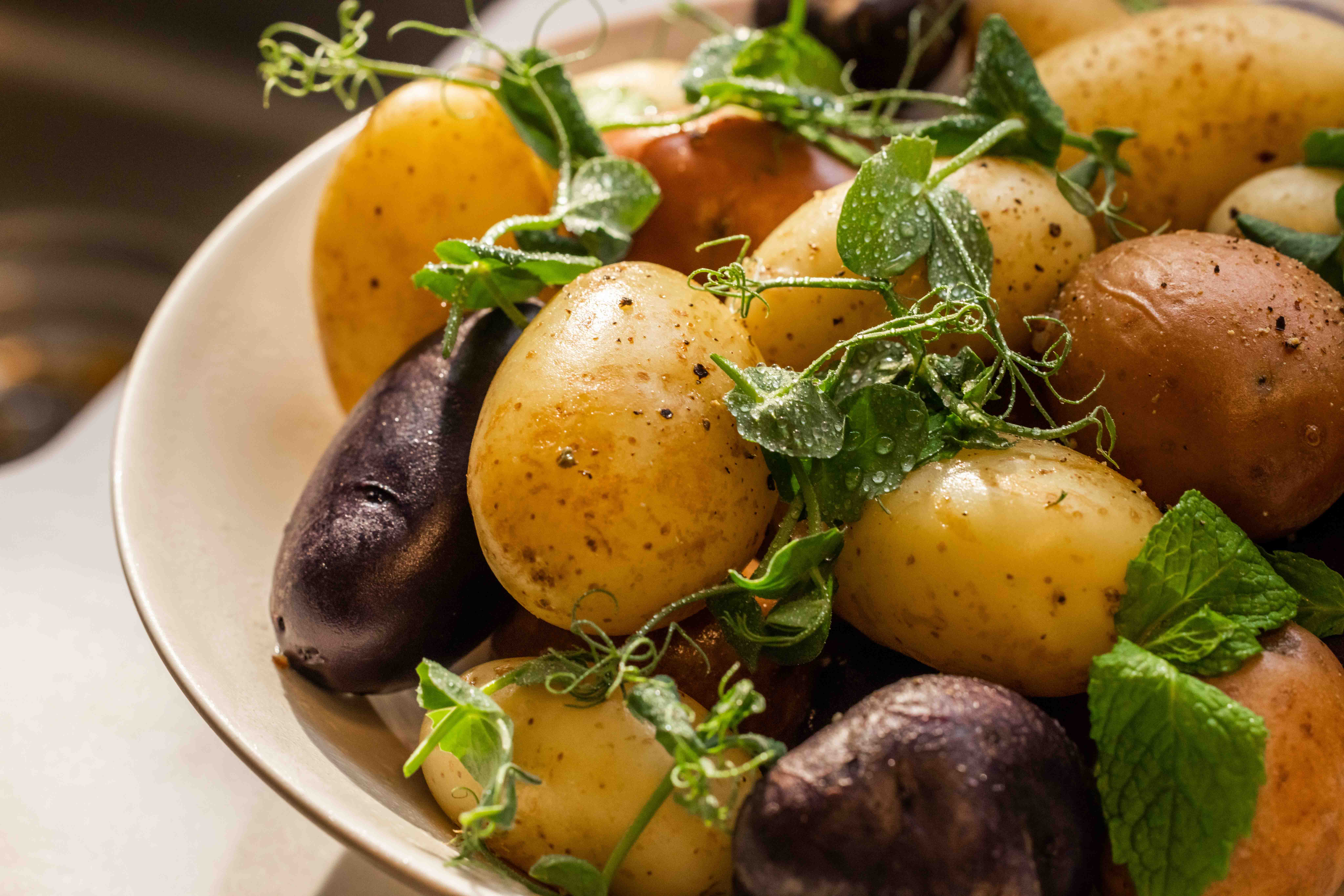 The Collective Force - Haier Image Libraries