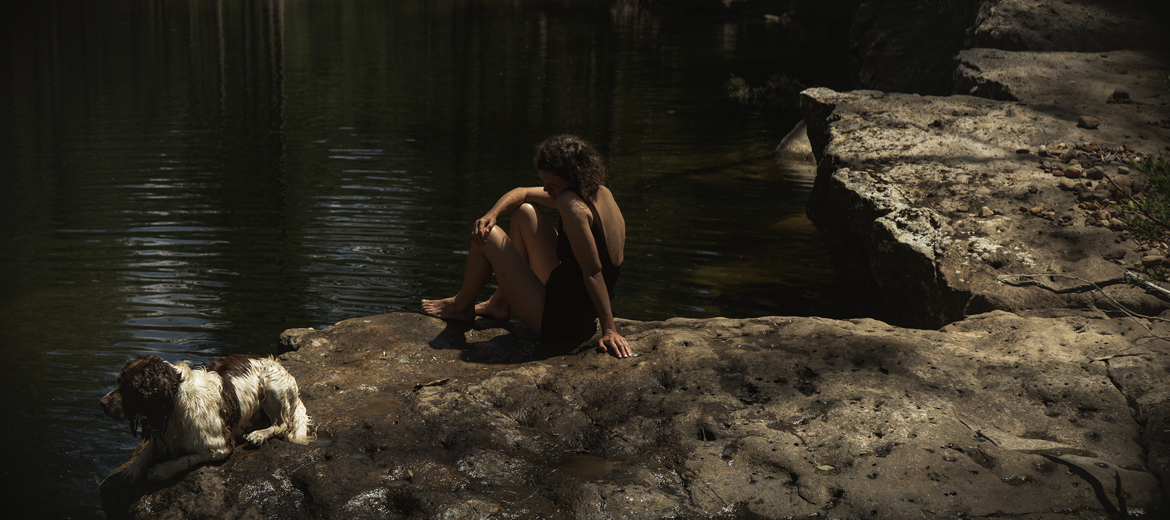 The Collective Force - Dick Sweeney