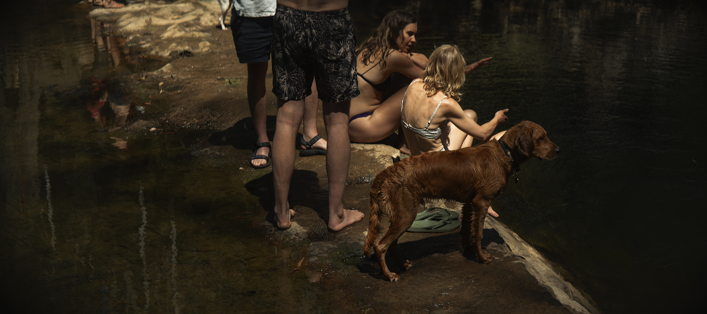 The Collective Force - In Your Quiet Waters Lay Me Down