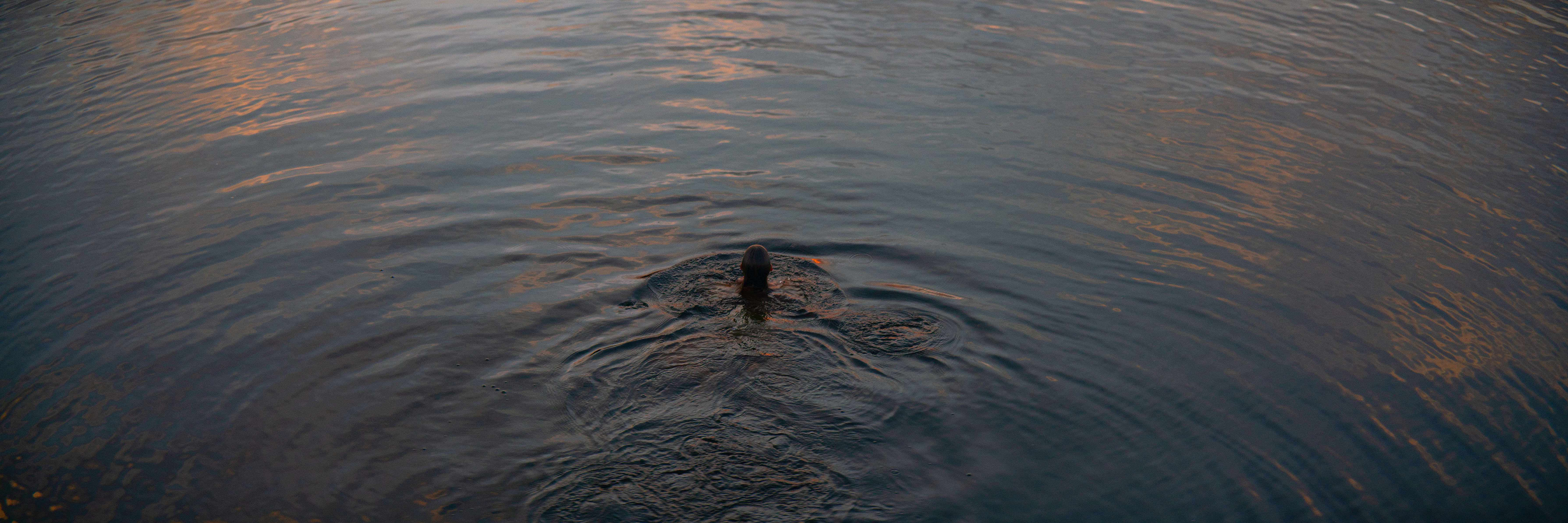 The Collective Force - Kashmir