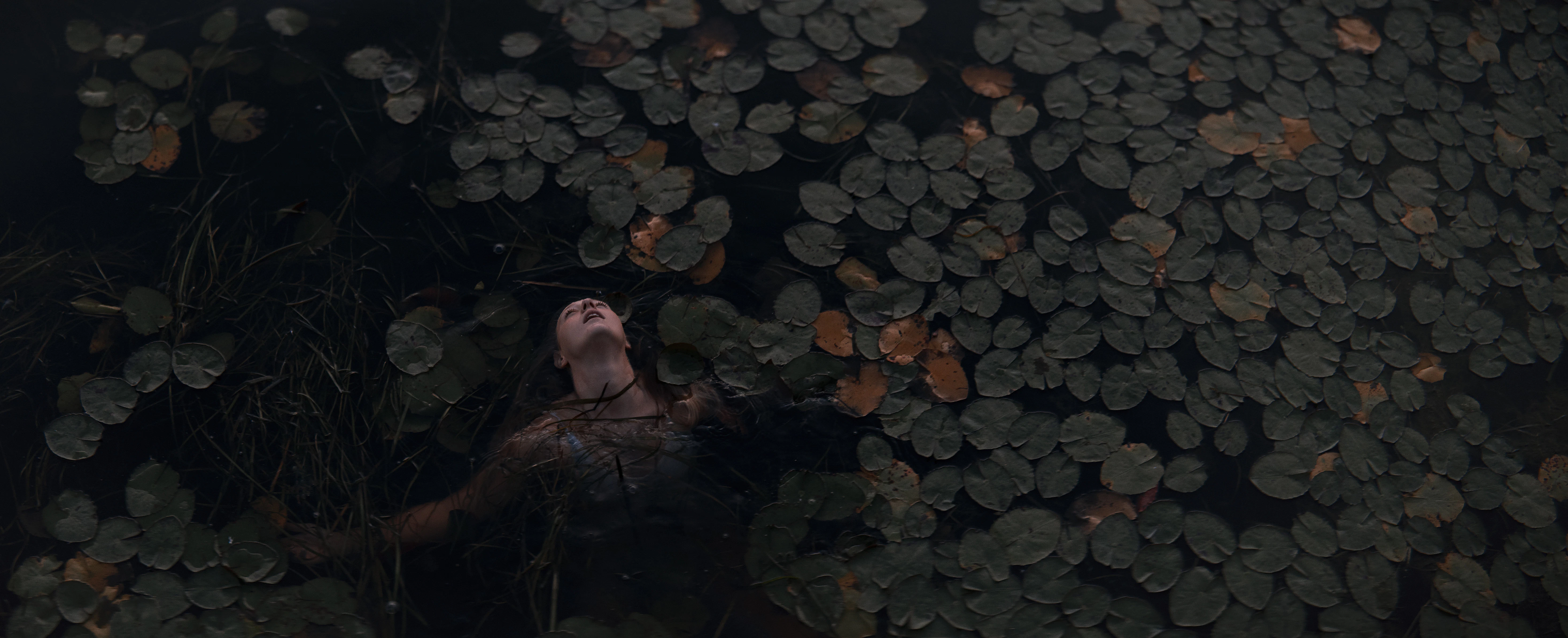 The Collective Force - Kashmir