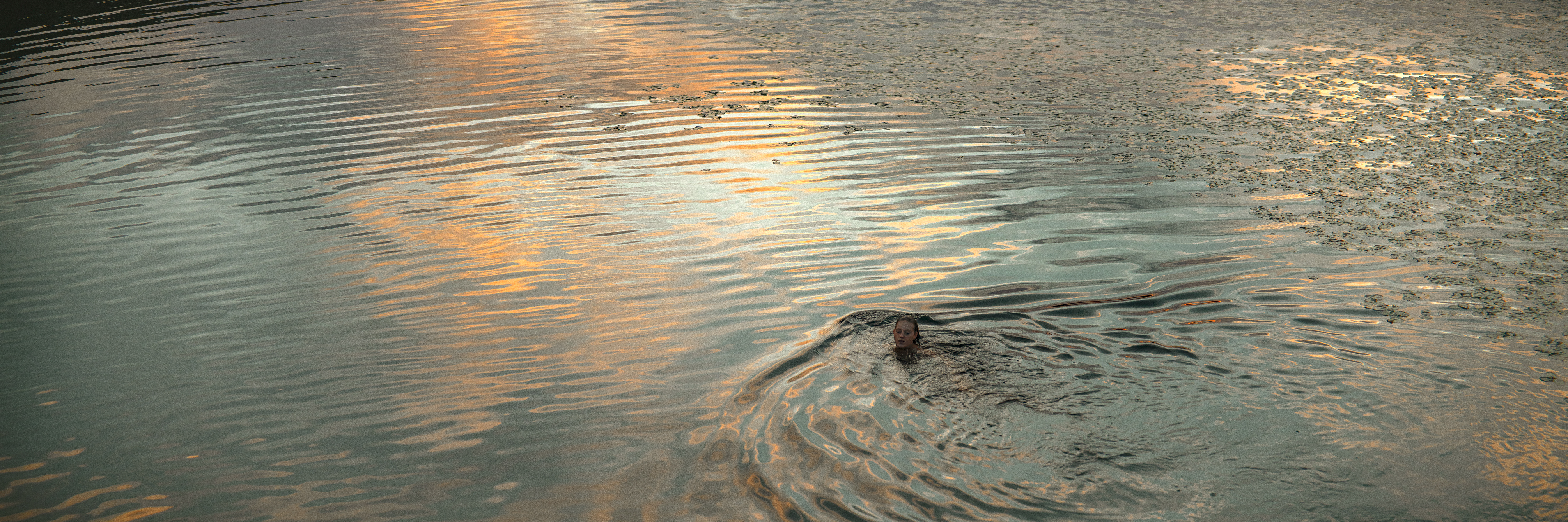 The Collective Force - Kashmir