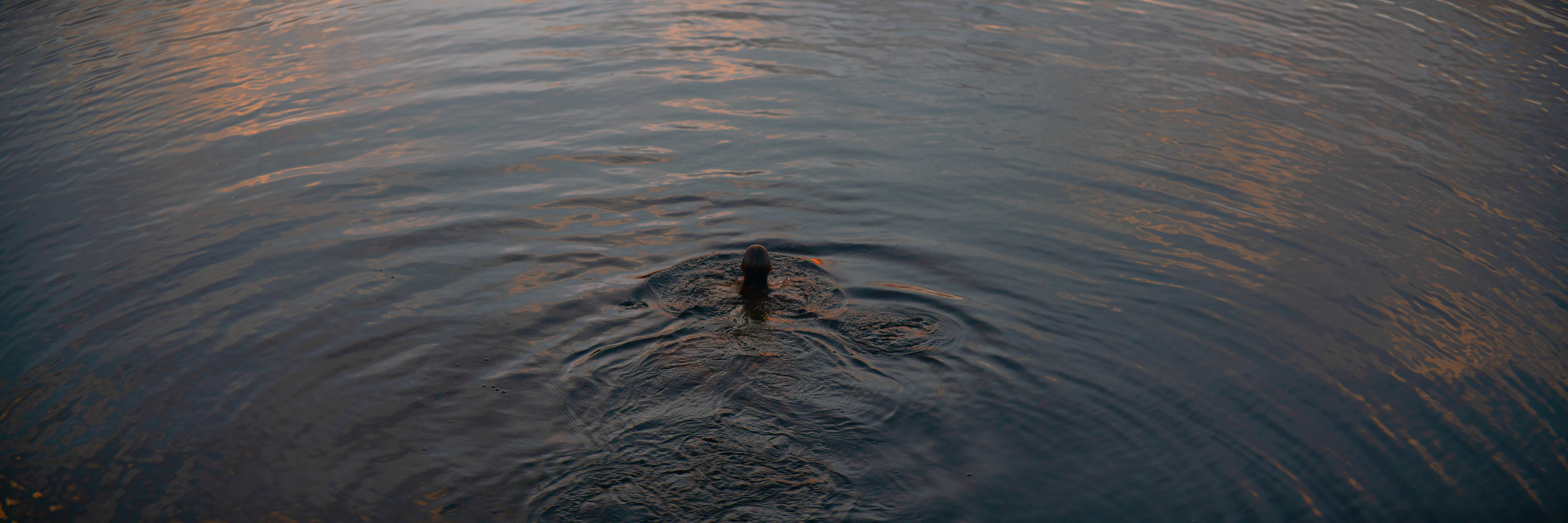 The Collective Force - Kashmir