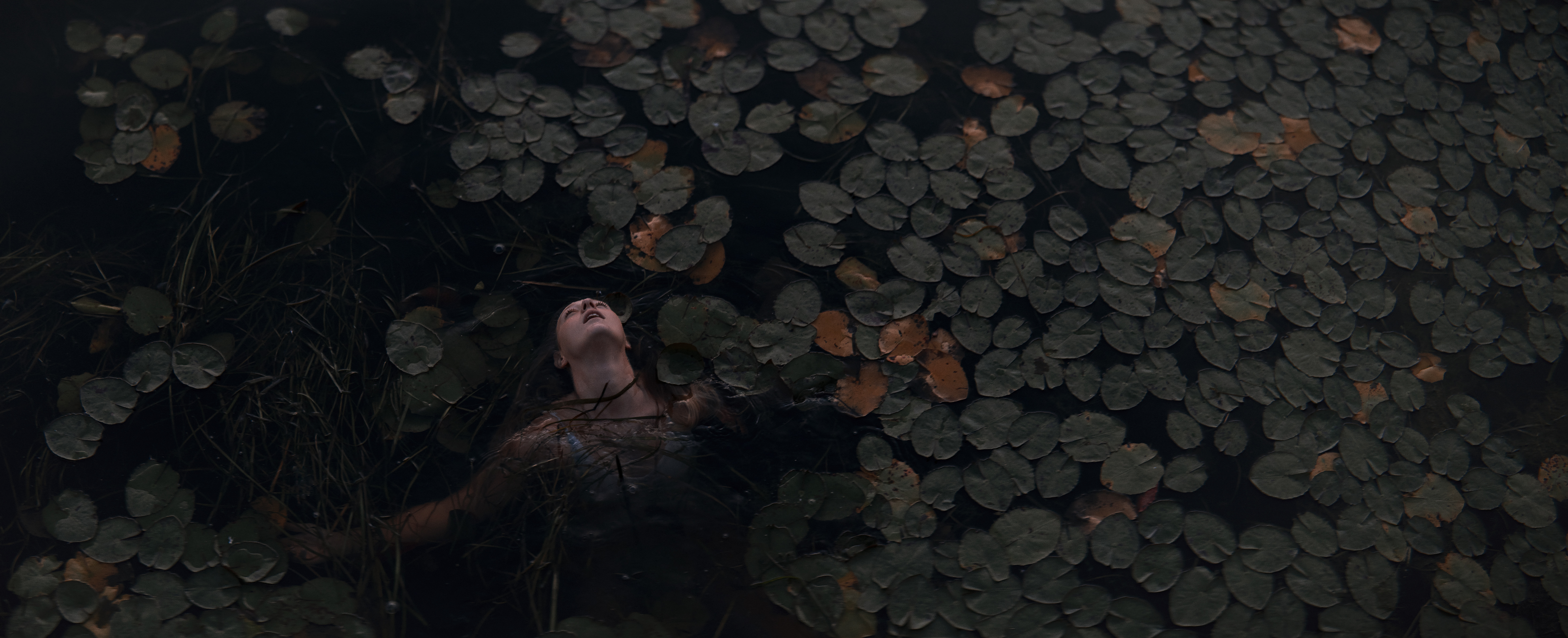 The Collective Force - Kashmir